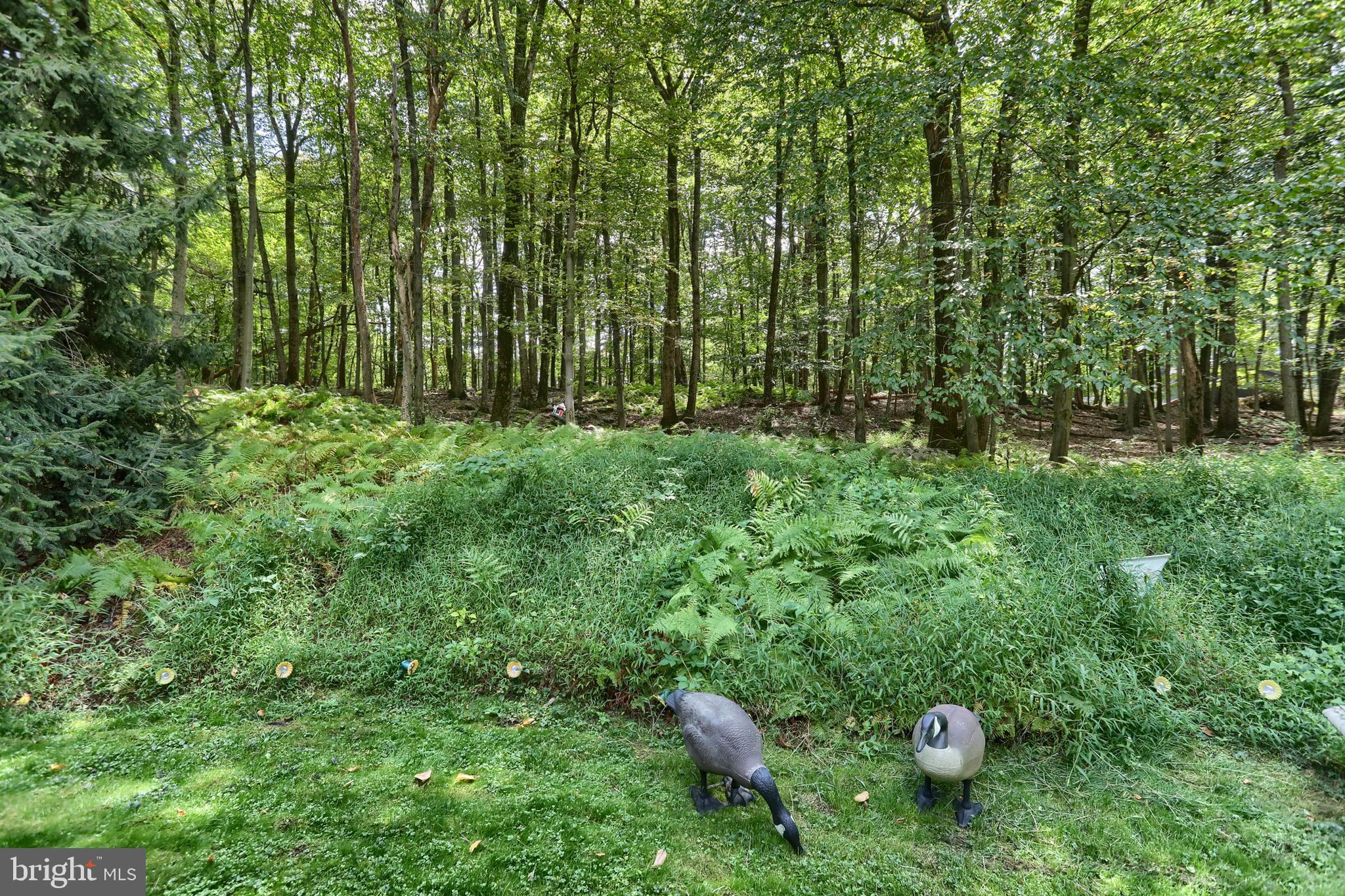 903 Tulip Tree Drive Lebanon, PA 17042 - Photo 37 of 54 a view of a green field
