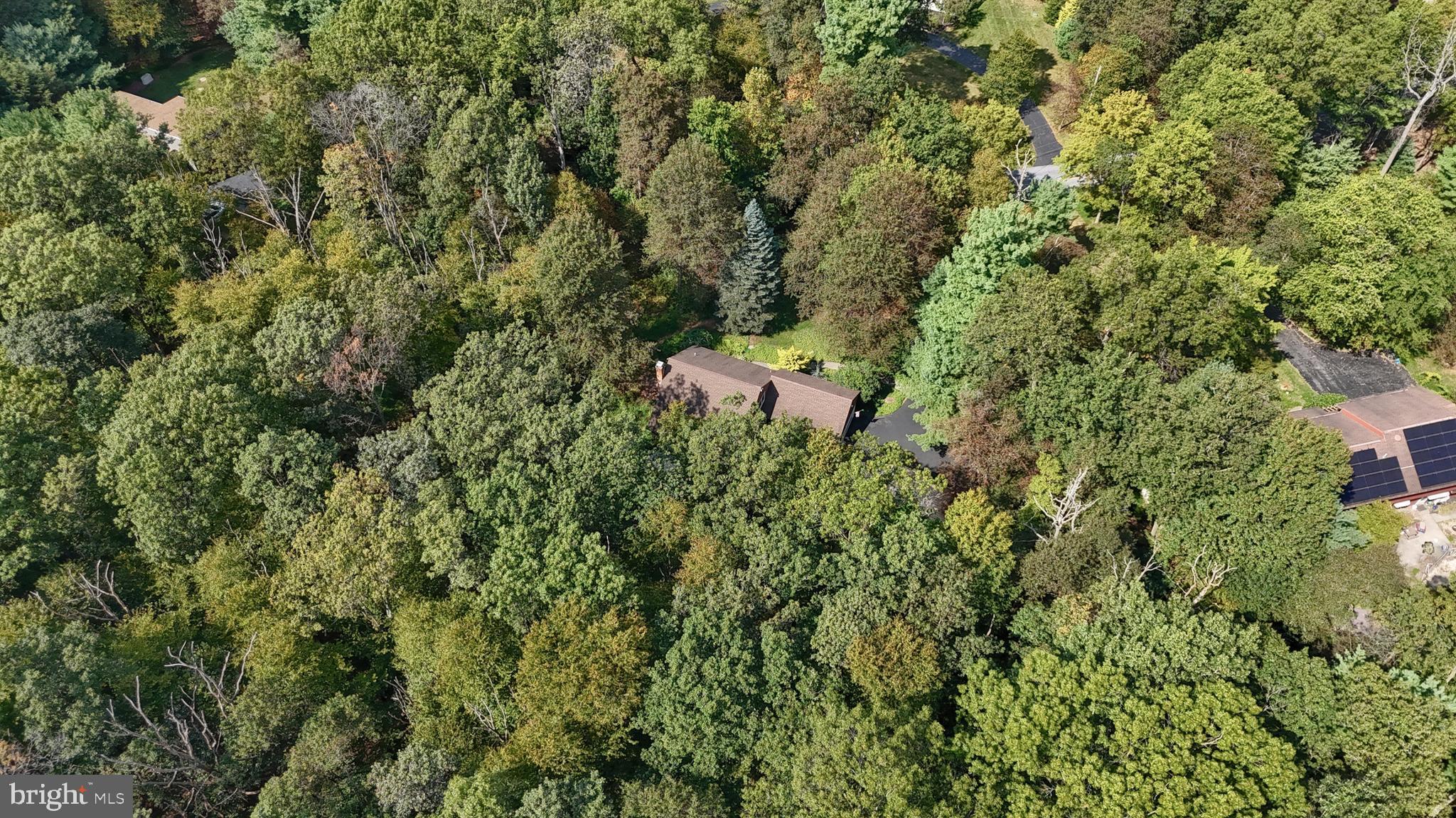 903 Tulip Tree Drive Lebanon, PA 17042 - Photo 47 of 54 a view of a forest with a tree