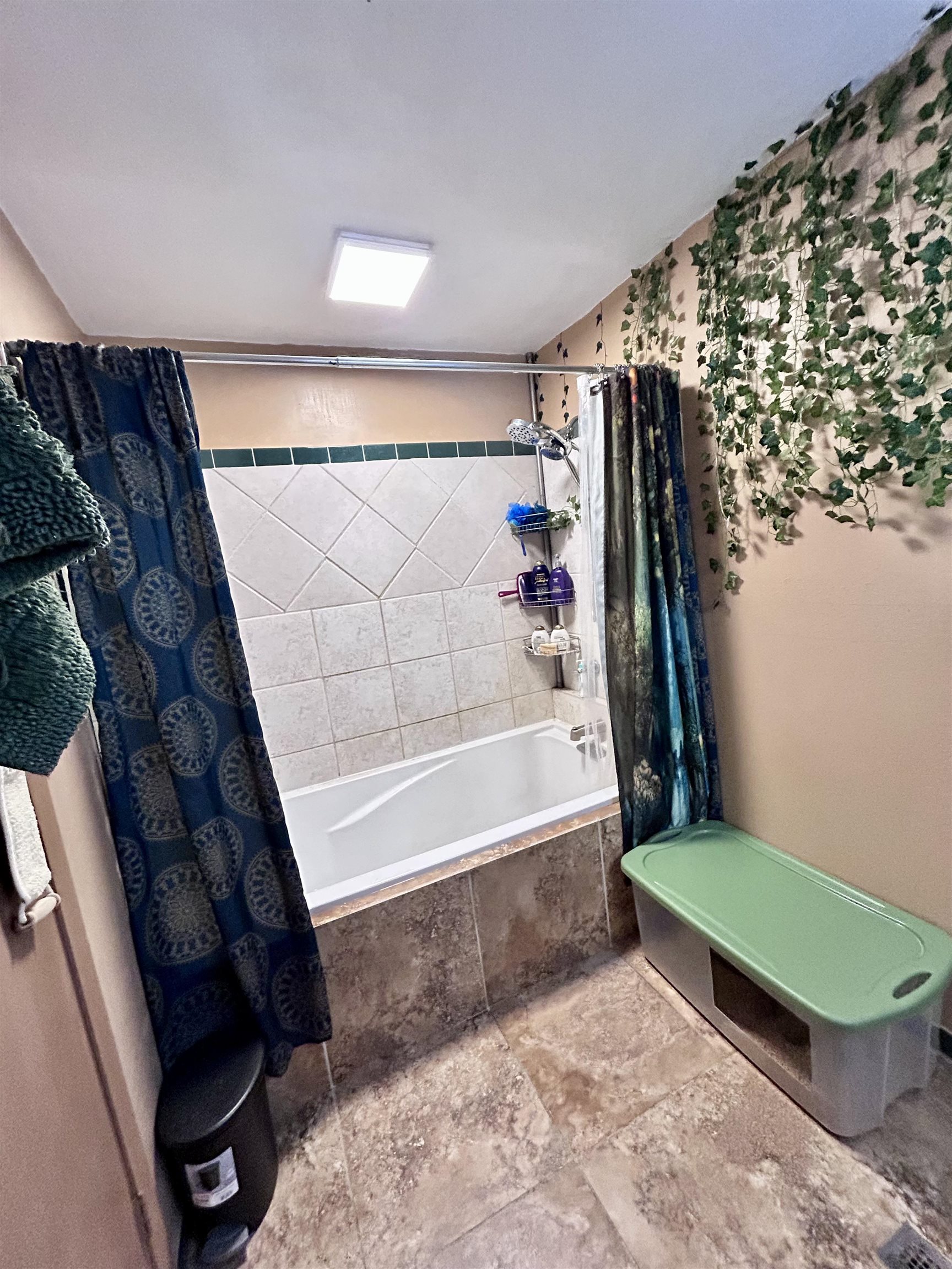 8634 Wakulla Springs Road Tallahassee, FL 32305 - Photo 6 of 14