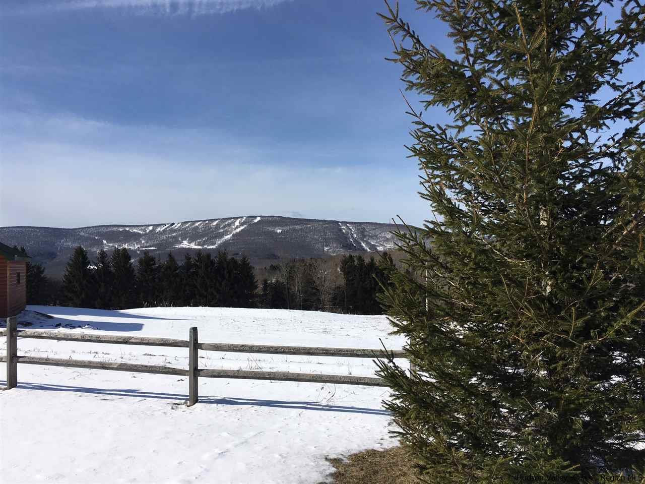 3 Brush Ridge Road, Unit 355 Fleischmanns, NY 12430 - Photo 3 of 21 Photo 3