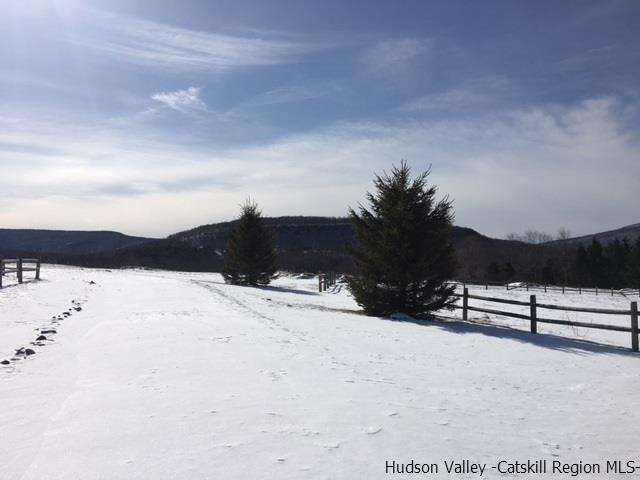 3 Brush Ridge Road, Unit 355 Fleischmanns, NY 12430 - Photo 6 of 21 Photo 6