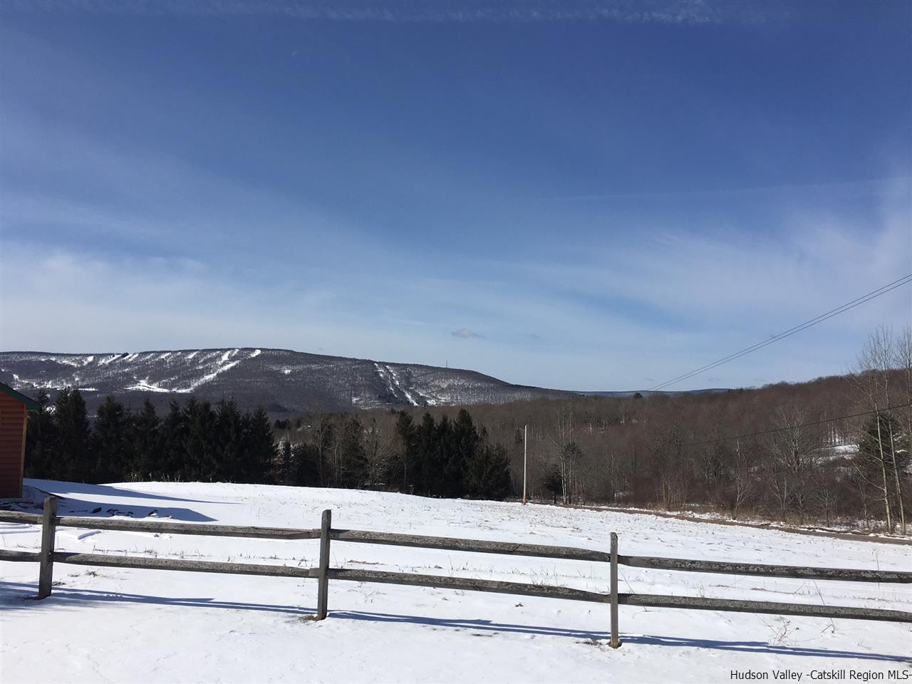 3 Brush Ridge Road, Unit 355 Fleischmanns, NY 12430 - Photo 9 of 21 Photo 9