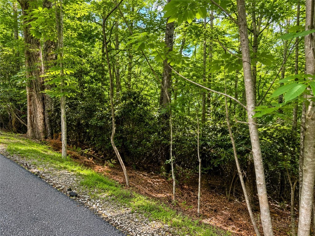 Walnut Road Boone, NC 28607 - Photo 1 of 5