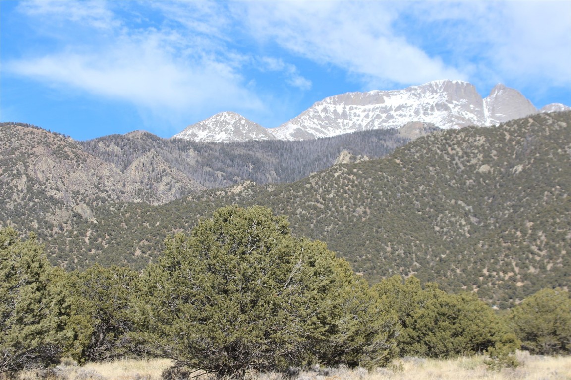 3233 Camino Del Rey Crestone, CO 81131 - Photo 2 of 11 a view of a dry yard with mountains in the background