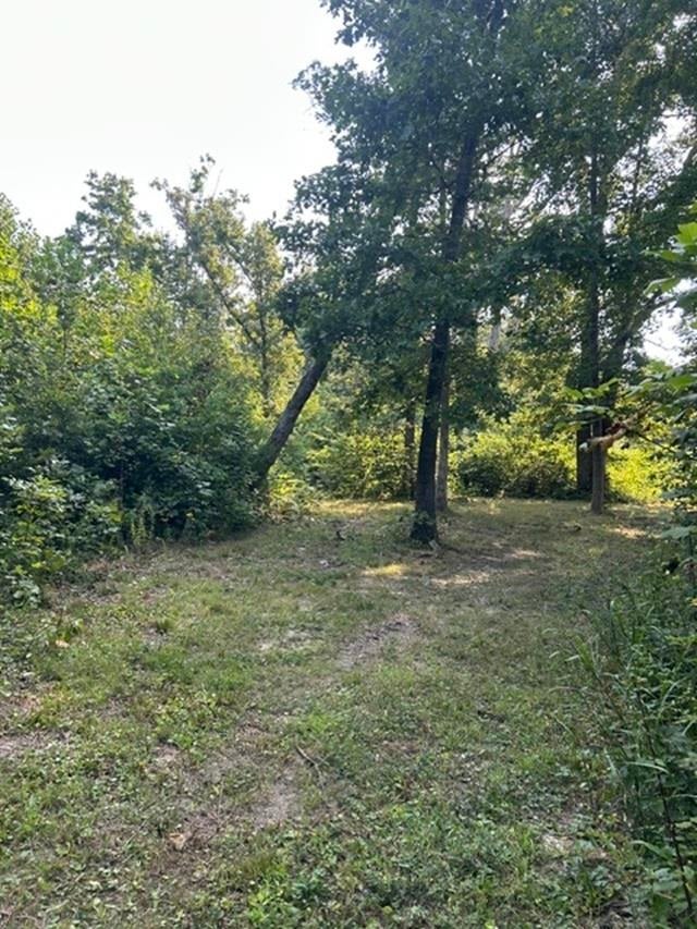 0 Holly Br Run Road Magnolia, KY 42757 - Photo 11 of 21 Gallery Image 11