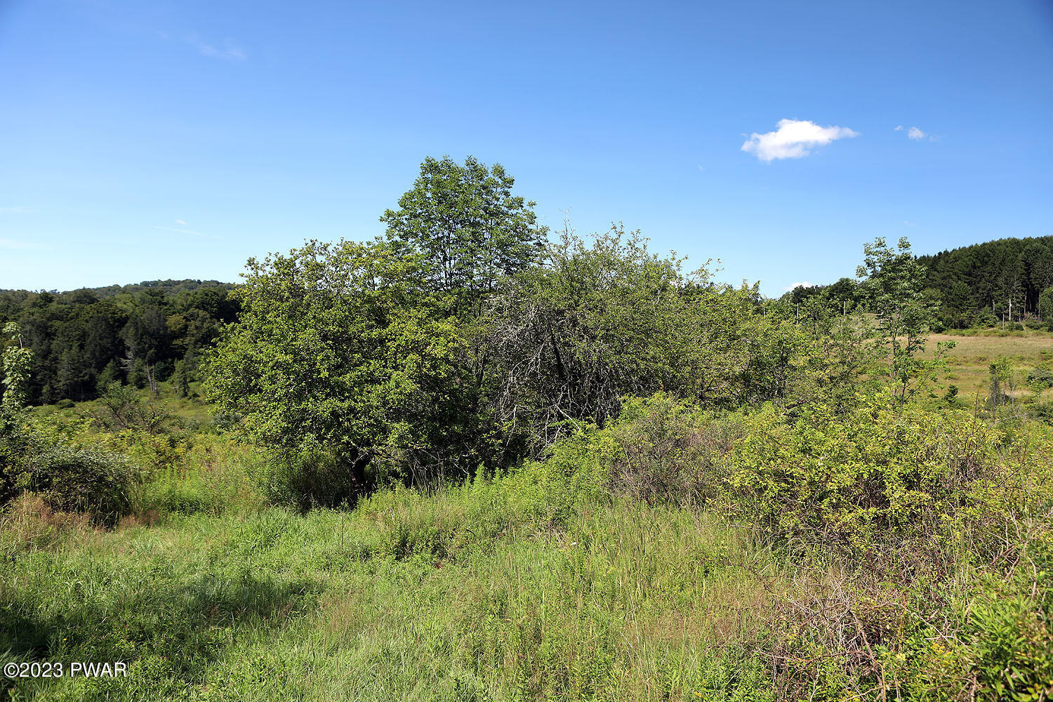 178 Baldwin Hill Road Damascus, PA 18415 - Photo 26 of 38