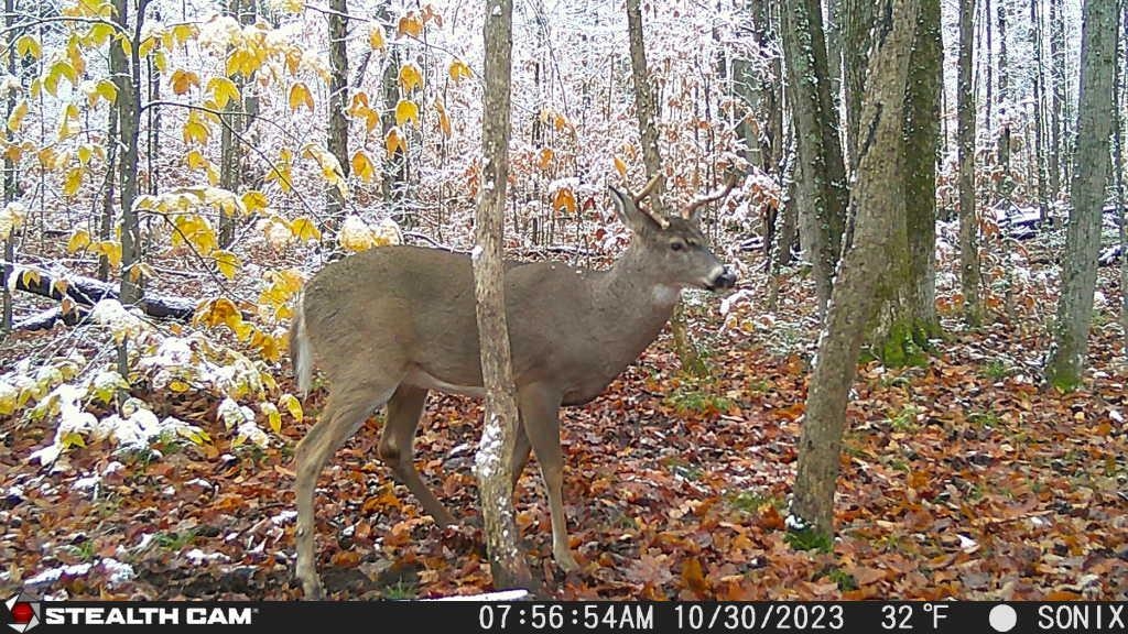 9304 Tower Road Northeast Kalkaska, MI 49646 - Photo 53 of 62