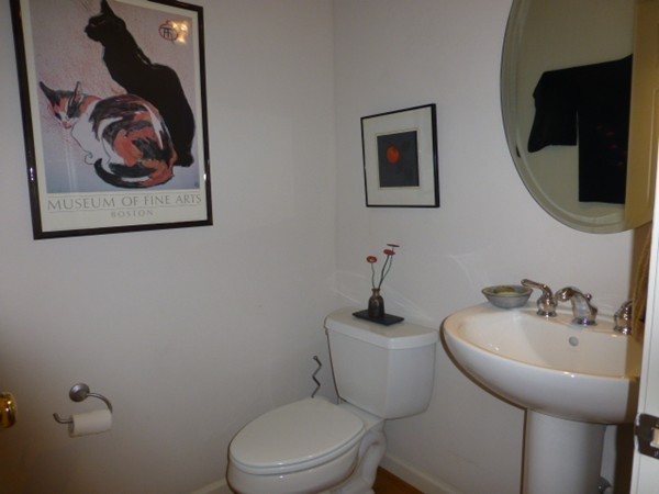 155 Nobscot Road, Unit 155 Sudbury, MA 01776 - Photo 8 of 29 Gallery Image 8