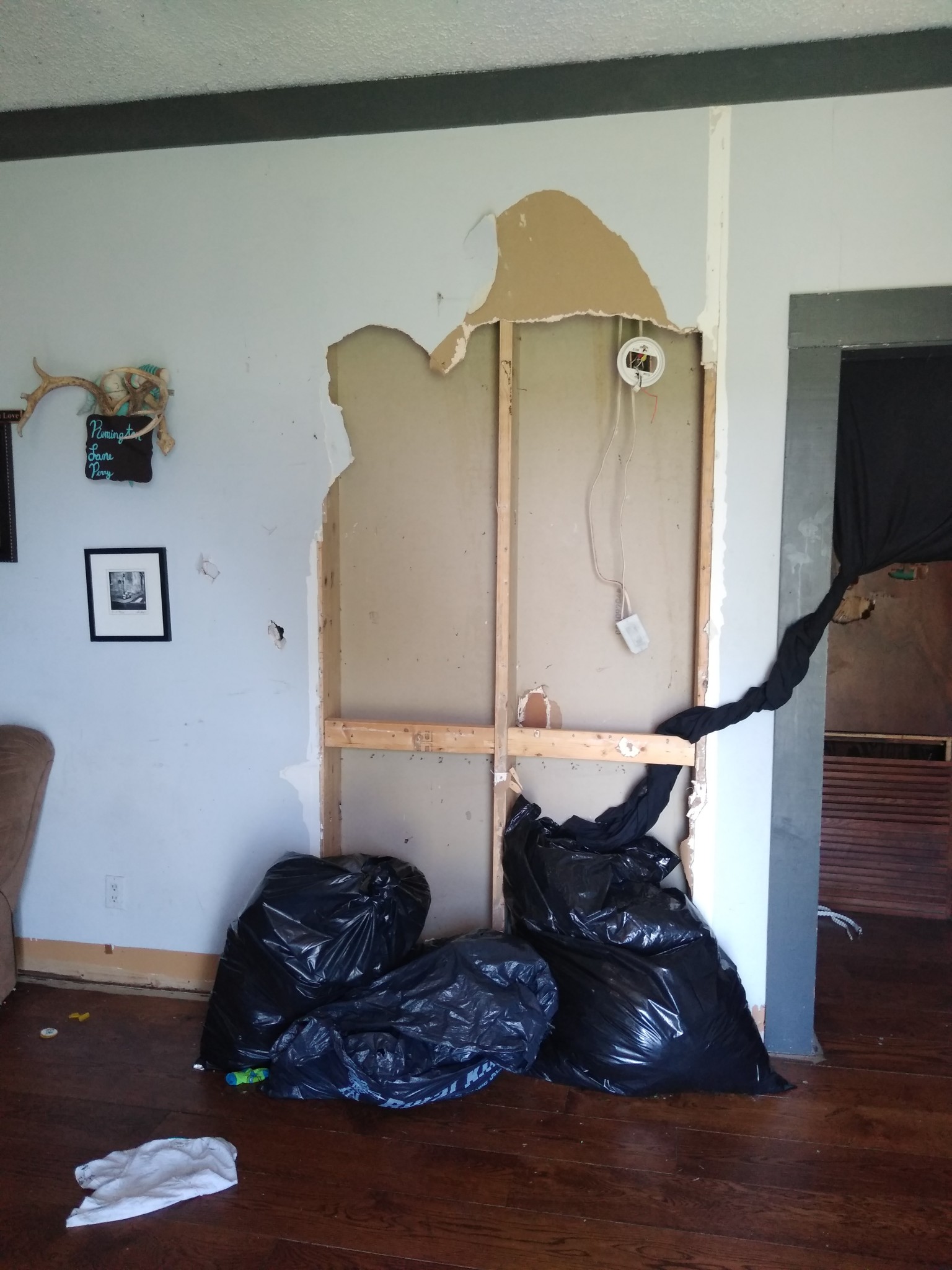 4742 Boyd Holland Road Springfield, TN 37172 - Photo 1 of 13 a room with a wooden floor and a potted plant