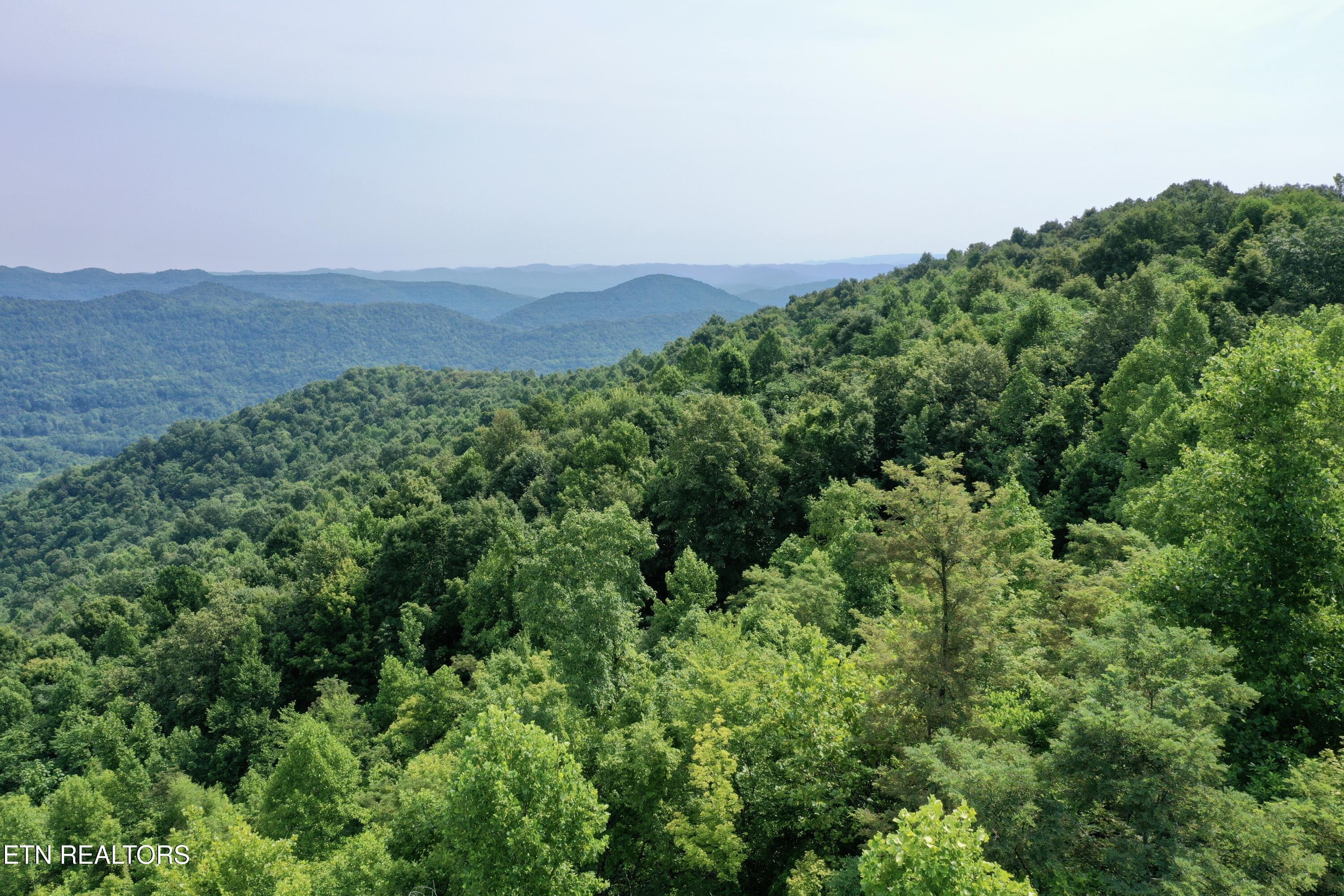 Wool Lane Newcomb, TN 37819 - Photo 11 of 53 11
