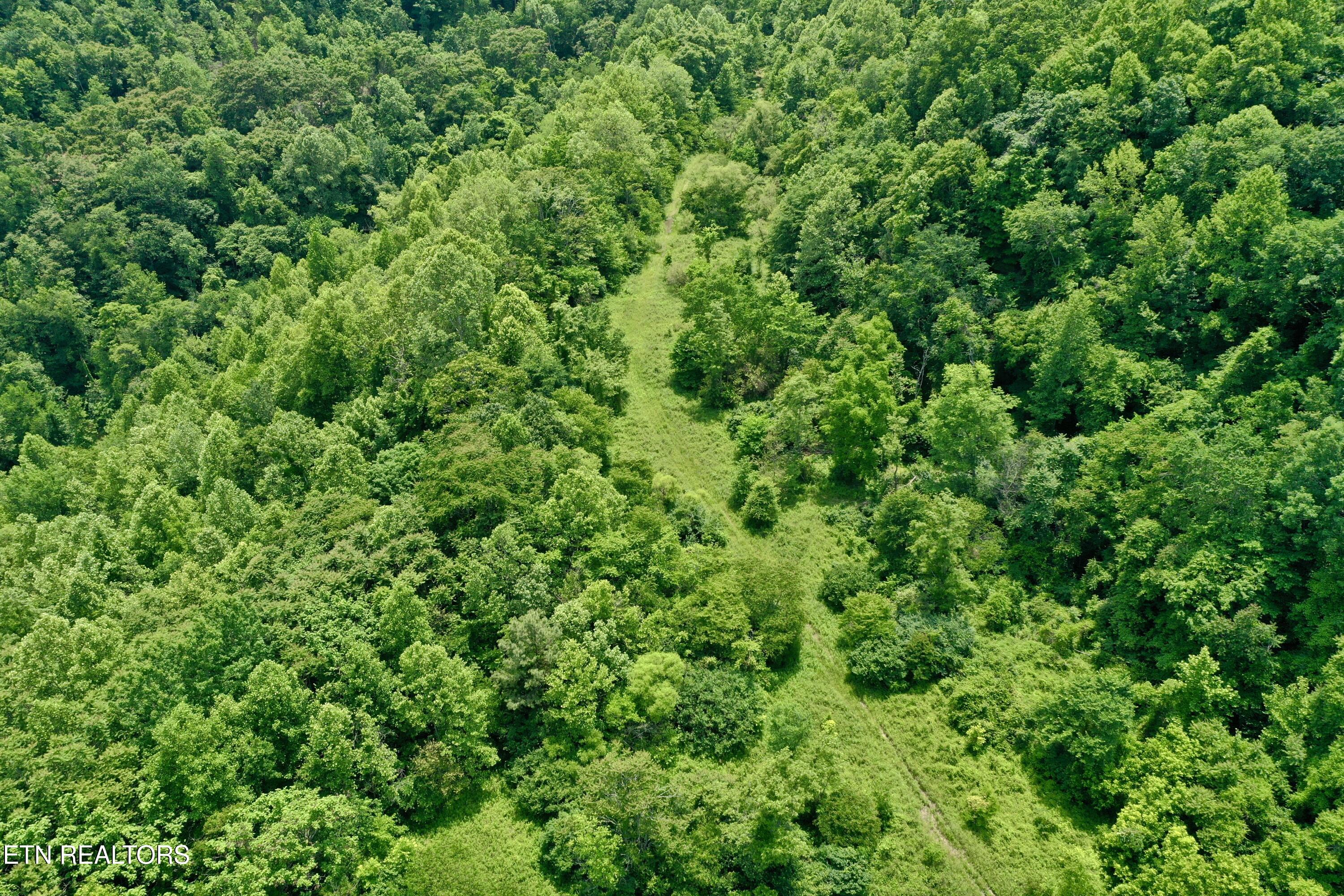 Wool Lane Newcomb, TN 37819 - Photo 12 of 53 12