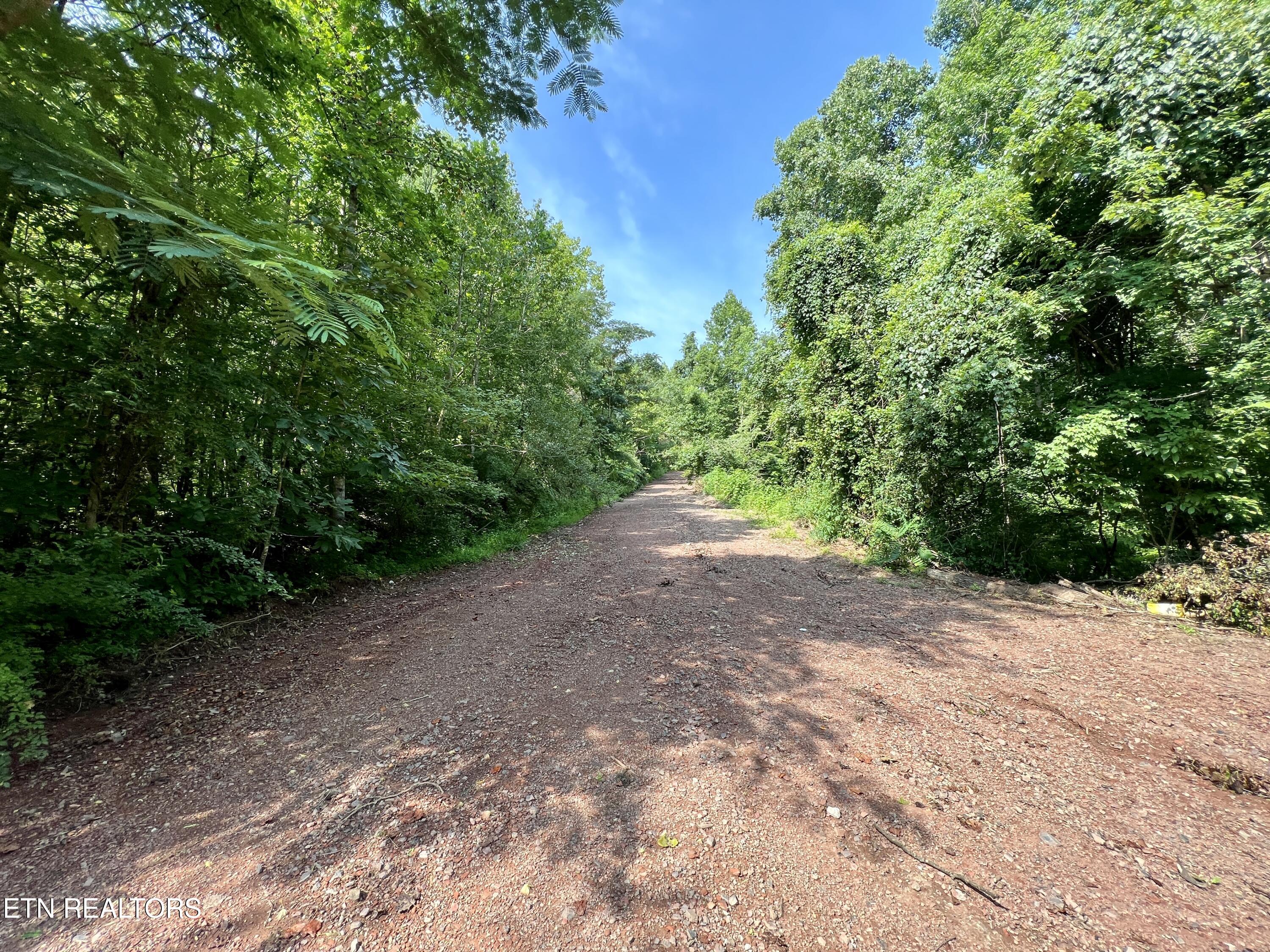 Wool Lane Newcomb, TN 37819 - Photo 13 of 53 13