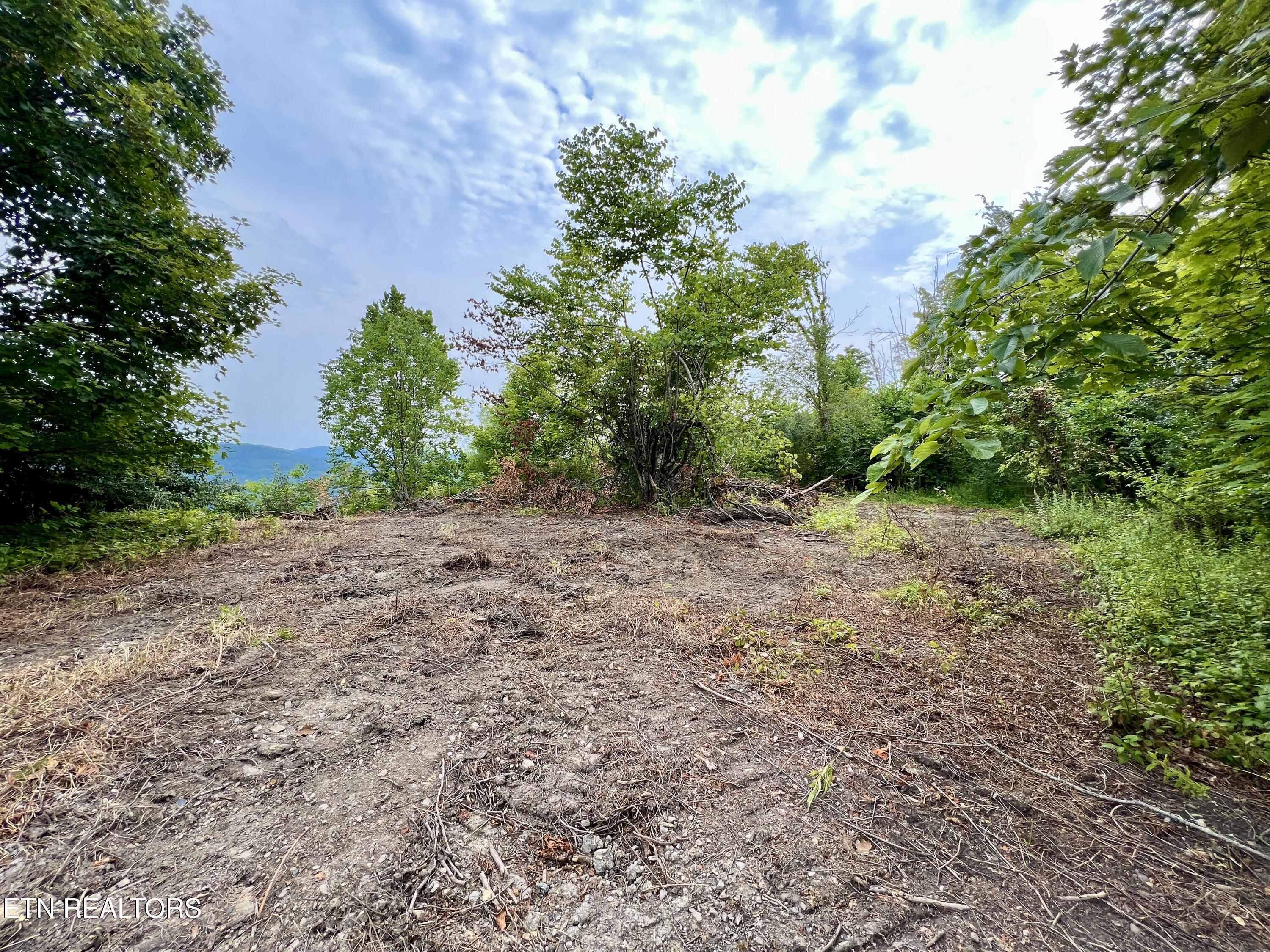Wool Lane Newcomb, TN 37819 - Photo 14 of 53 14