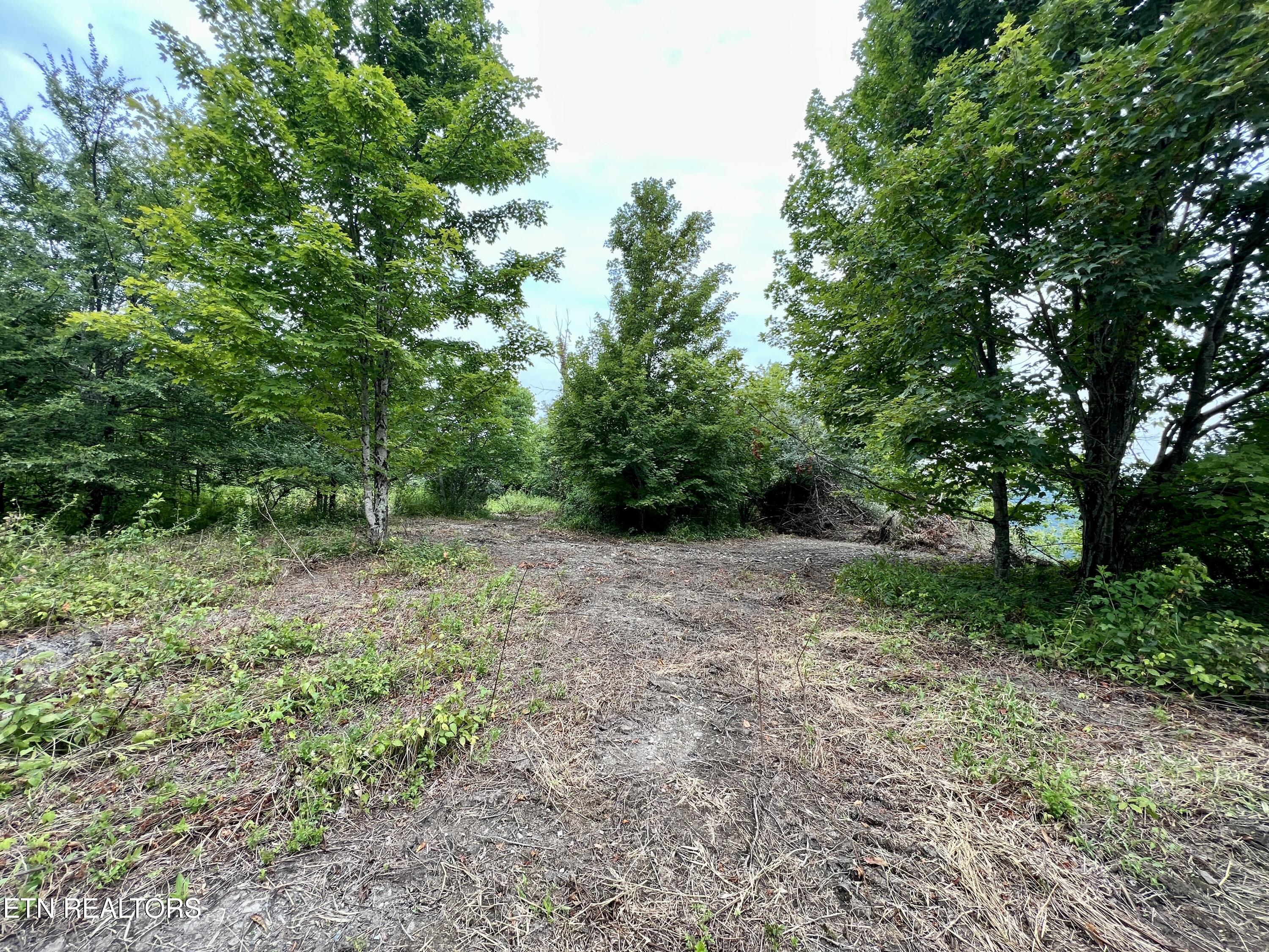 Wool Lane Newcomb, TN 37819 - Photo 15 of 53 15