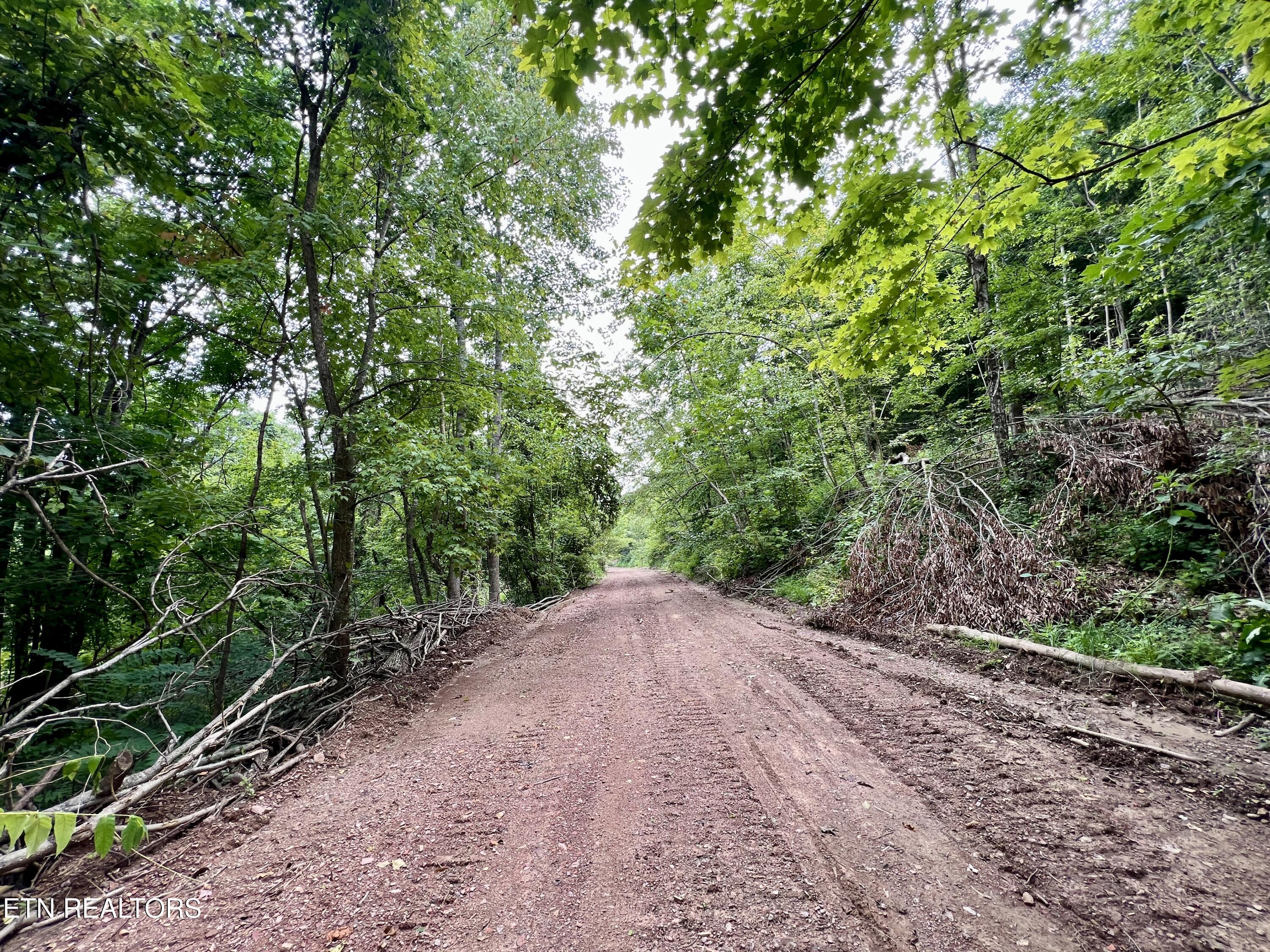 Wool Lane Newcomb, TN 37819 - Photo 16 of 53 16