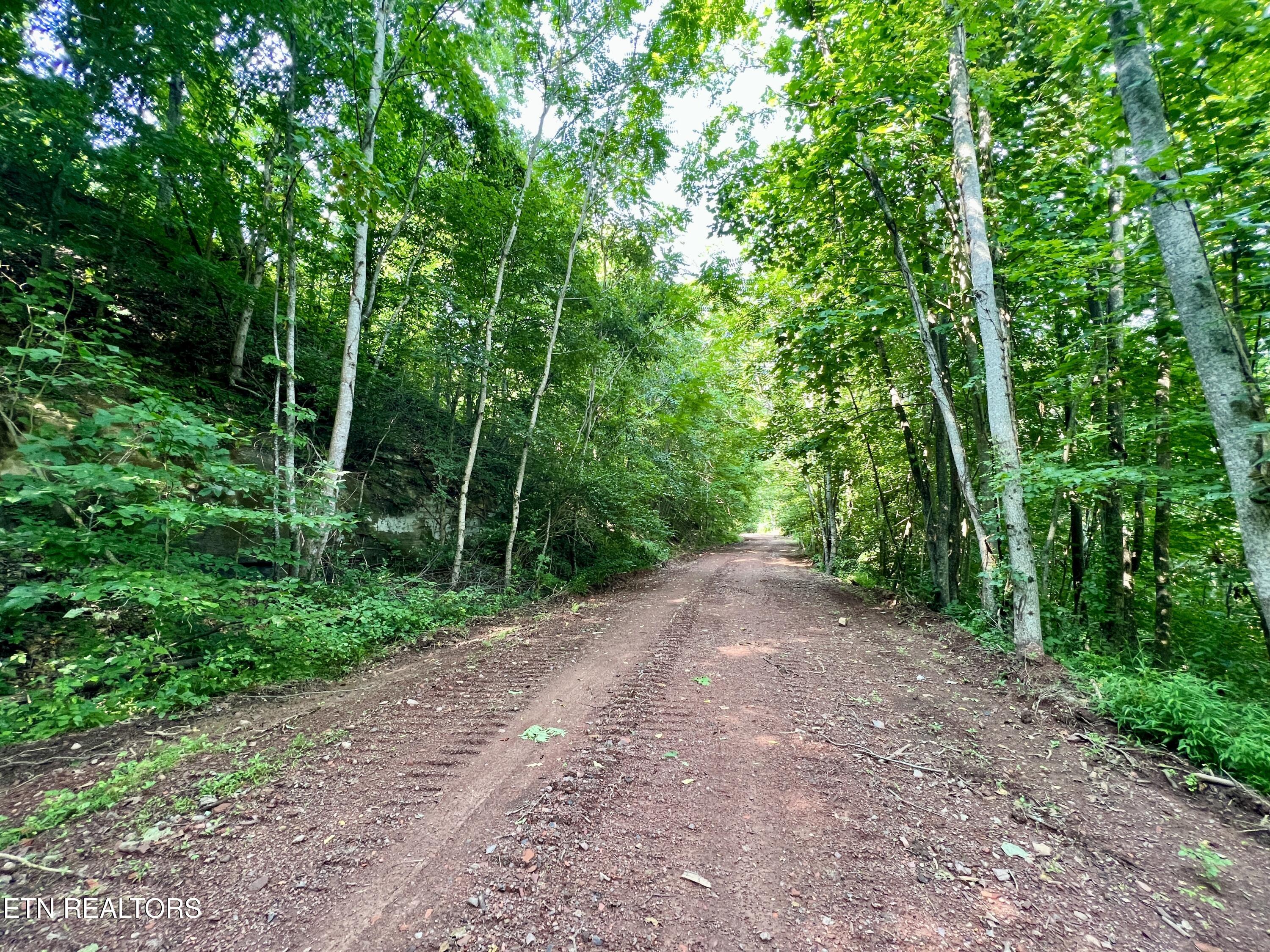Wool Lane Newcomb, TN 37819 - Photo 17 of 53 17
