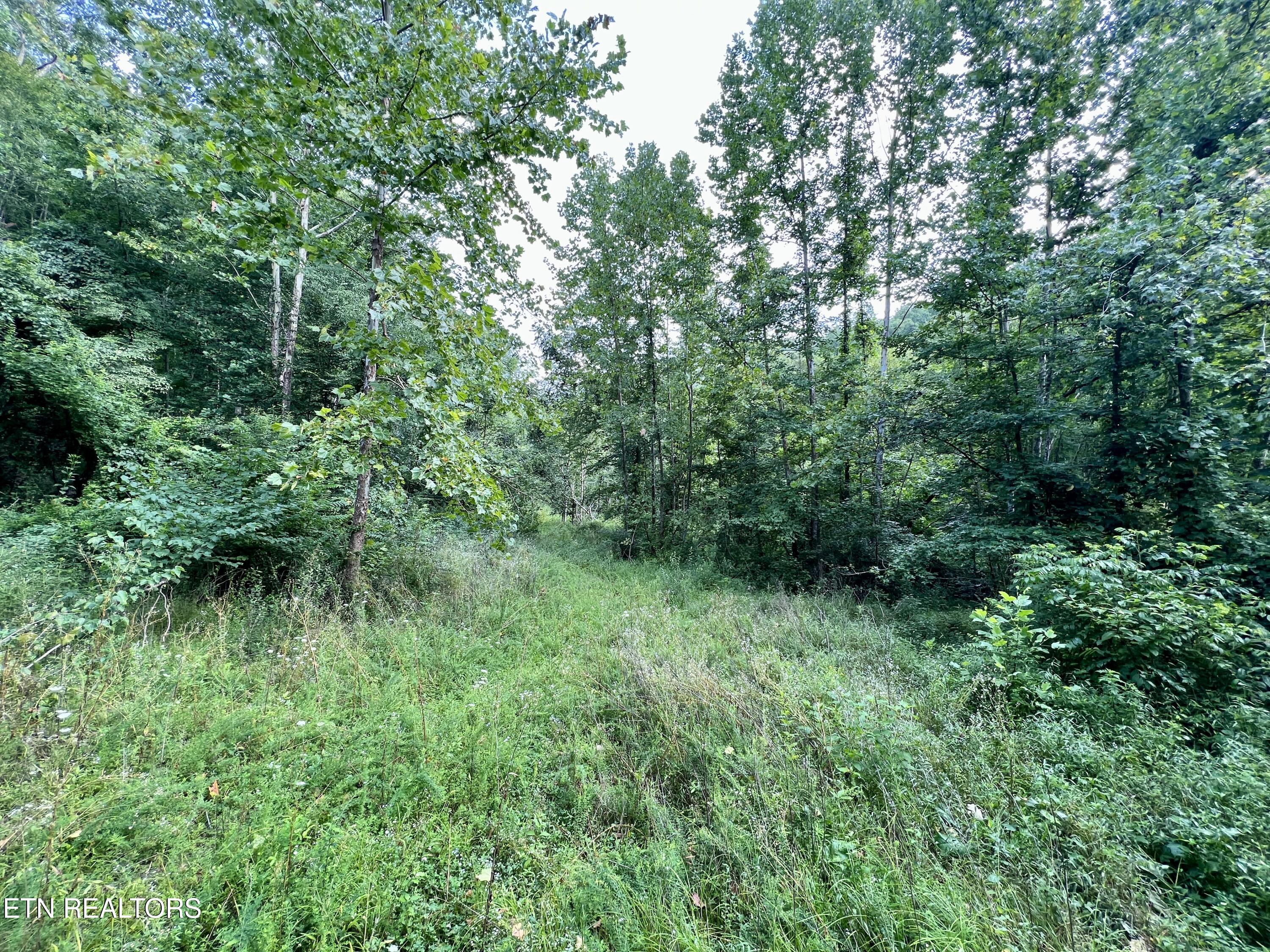 Wool Lane Newcomb, TN 37819 - Photo 18 of 53 18