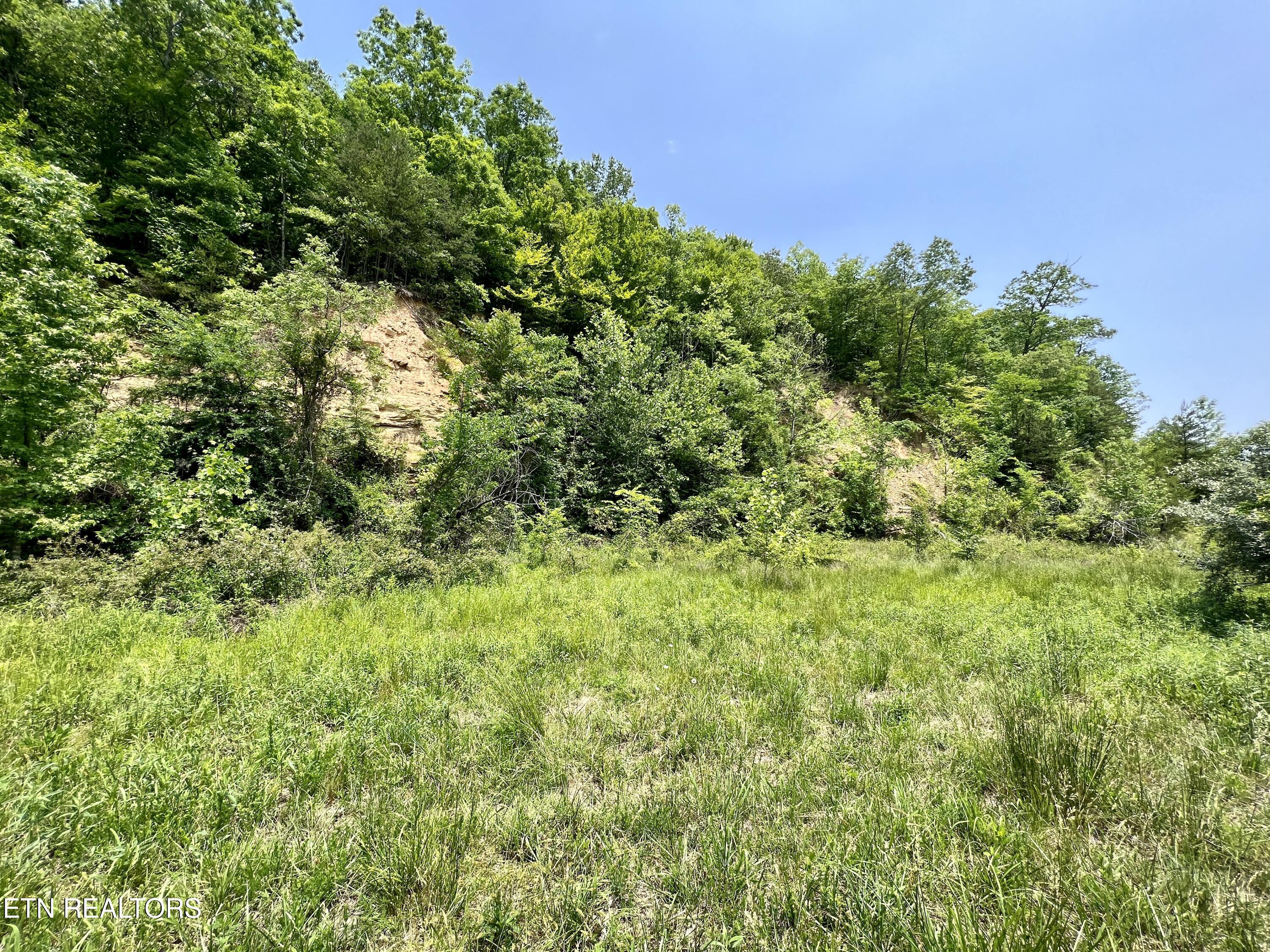 Wool Lane Newcomb, TN 37819 - Photo 20 of 53 20