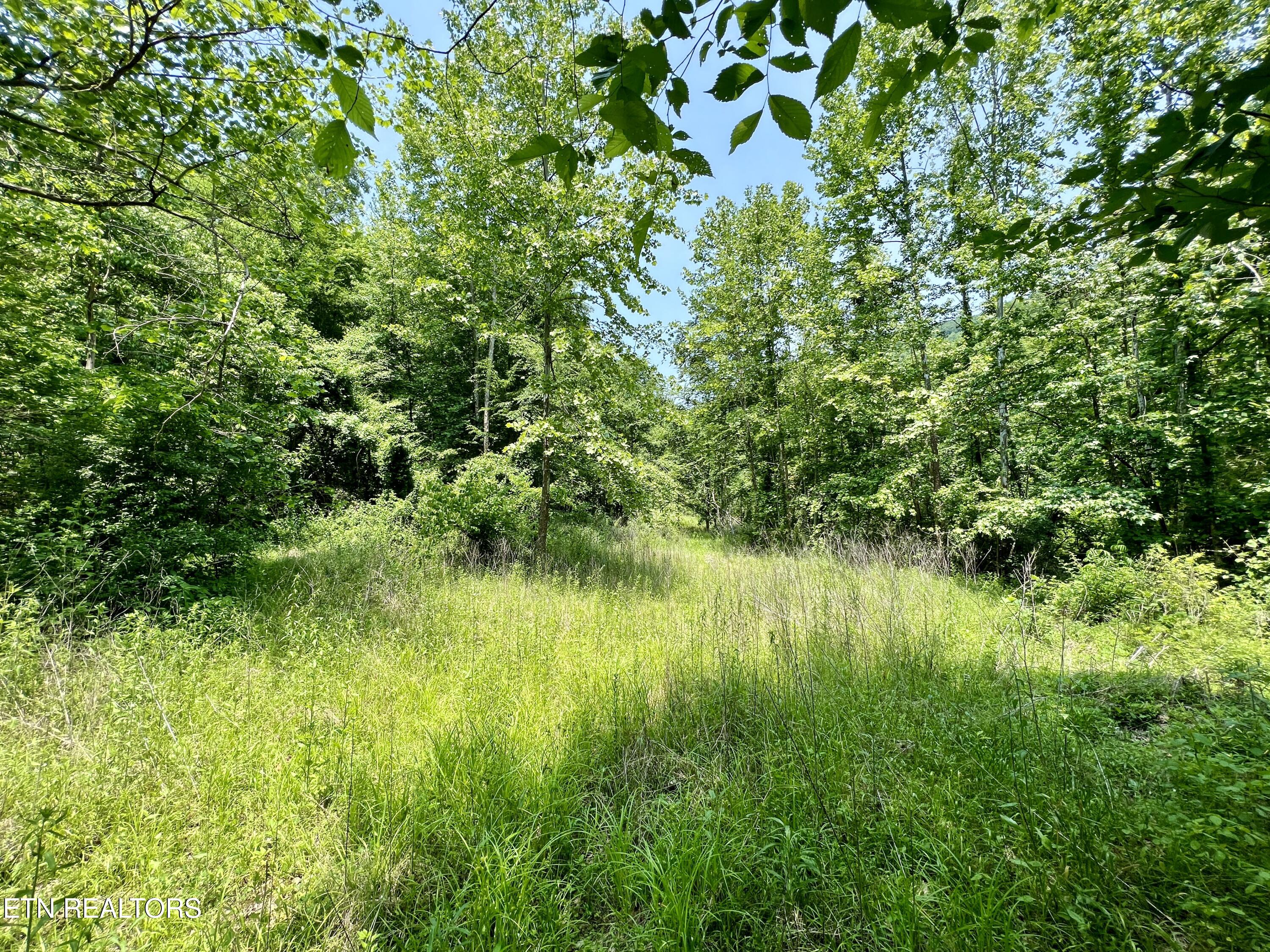 Wool Lane Newcomb, TN 37819 - Photo 21 of 53 21