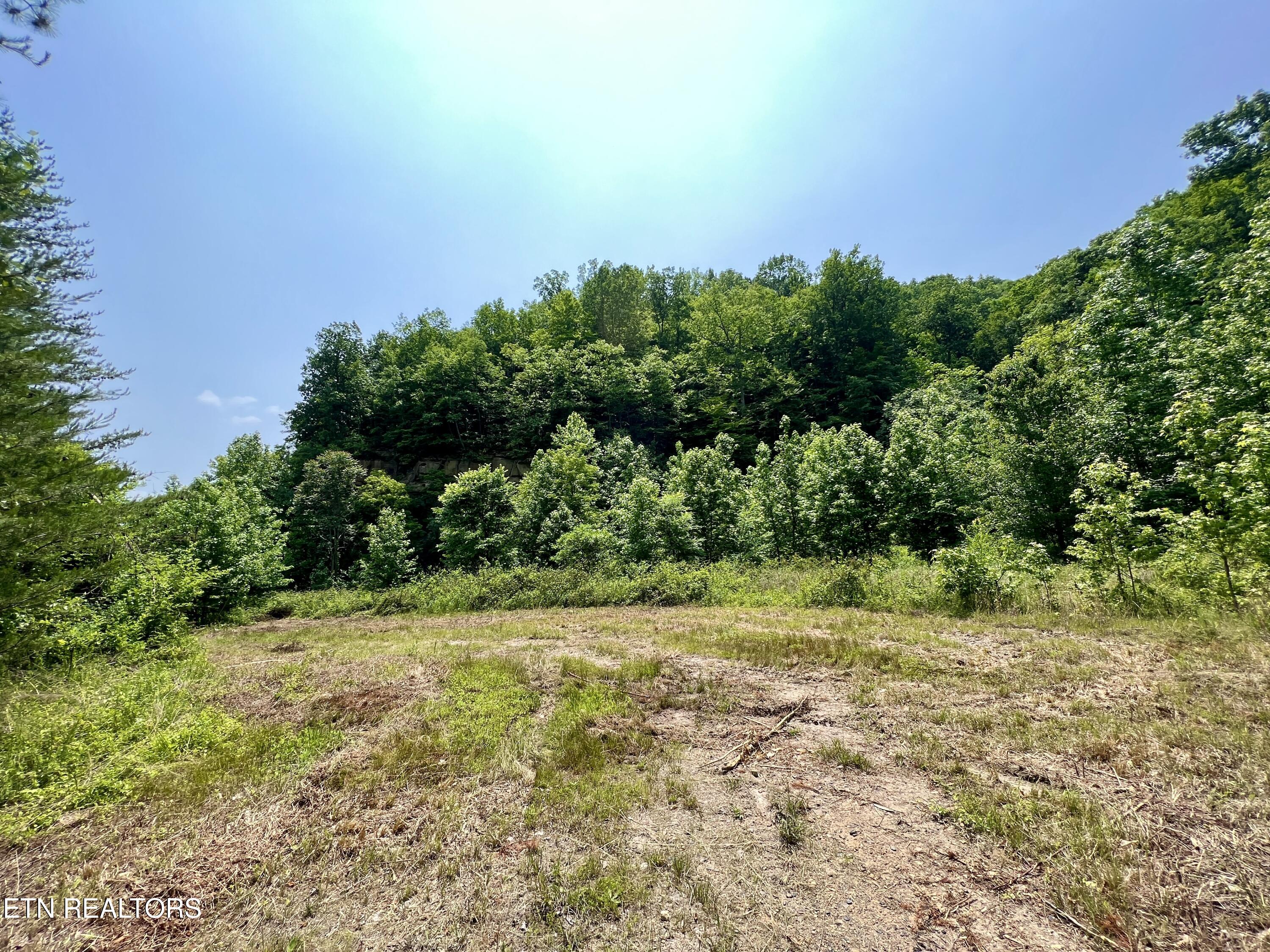 Wool Lane Newcomb, TN 37819 - Photo 22 of 53 22