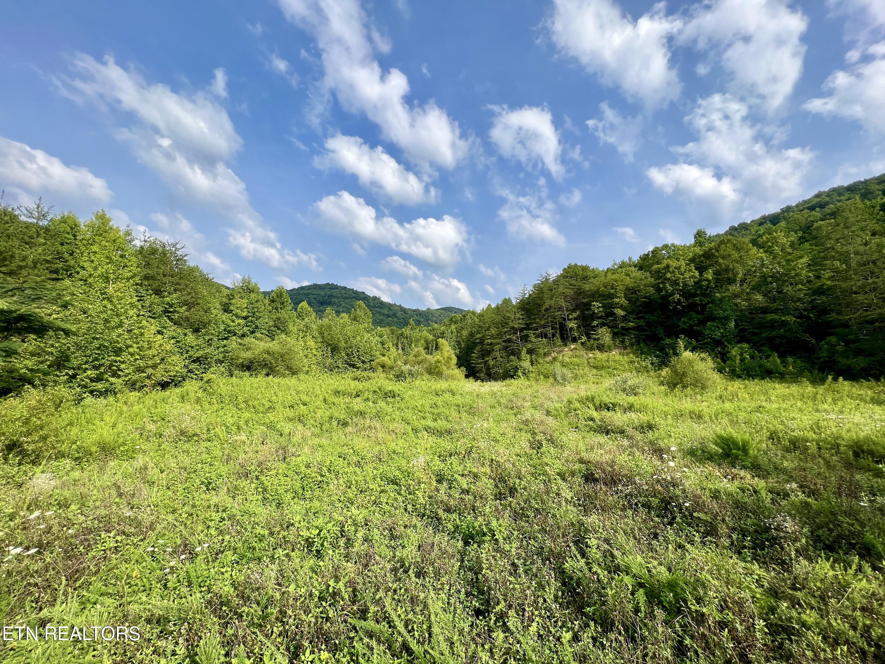 Wool Lane Newcomb, TN 37819 - Photo 23 of 53 23