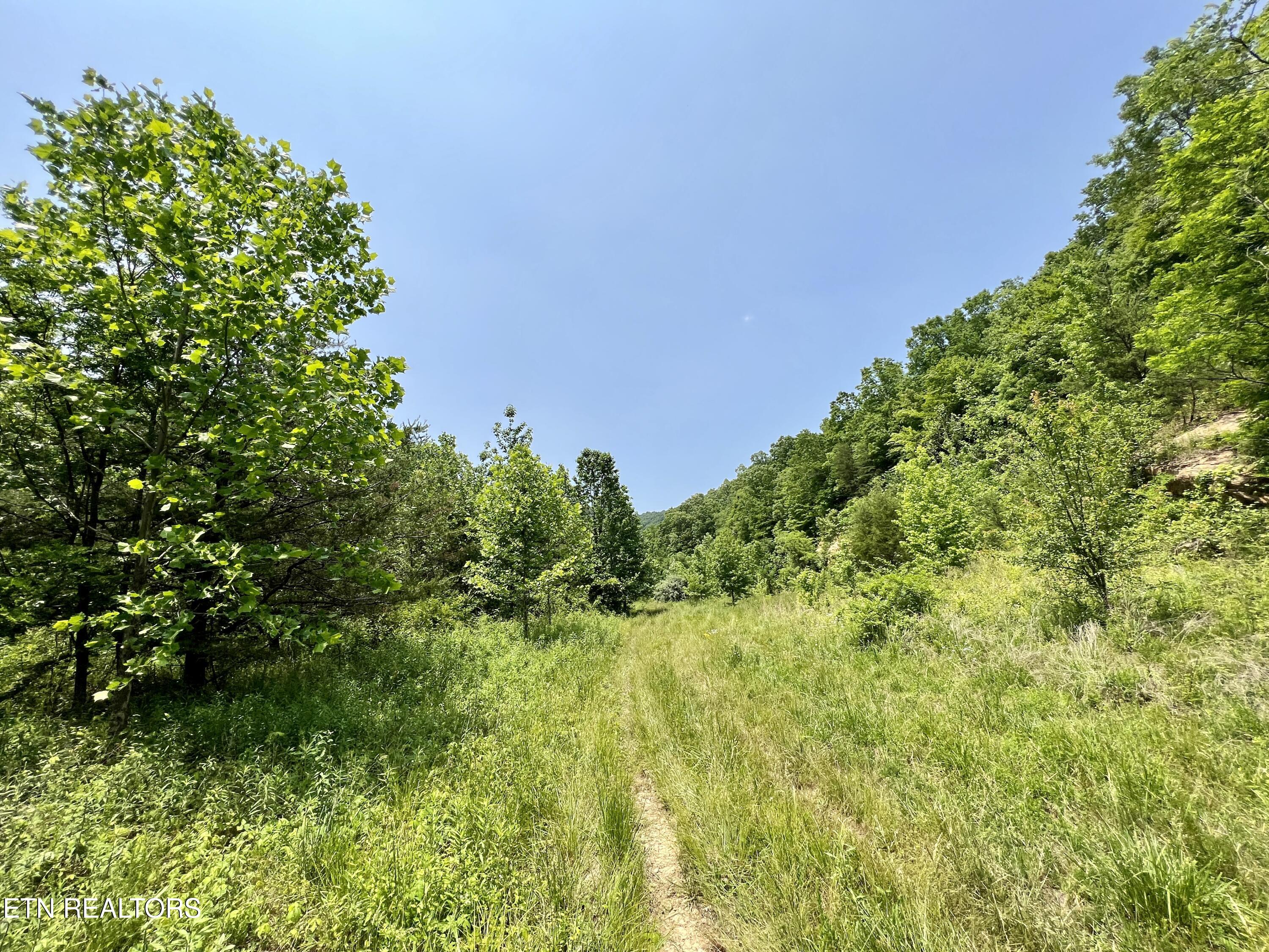 Wool Lane Newcomb, TN 37819 - Photo 24 of 53 24