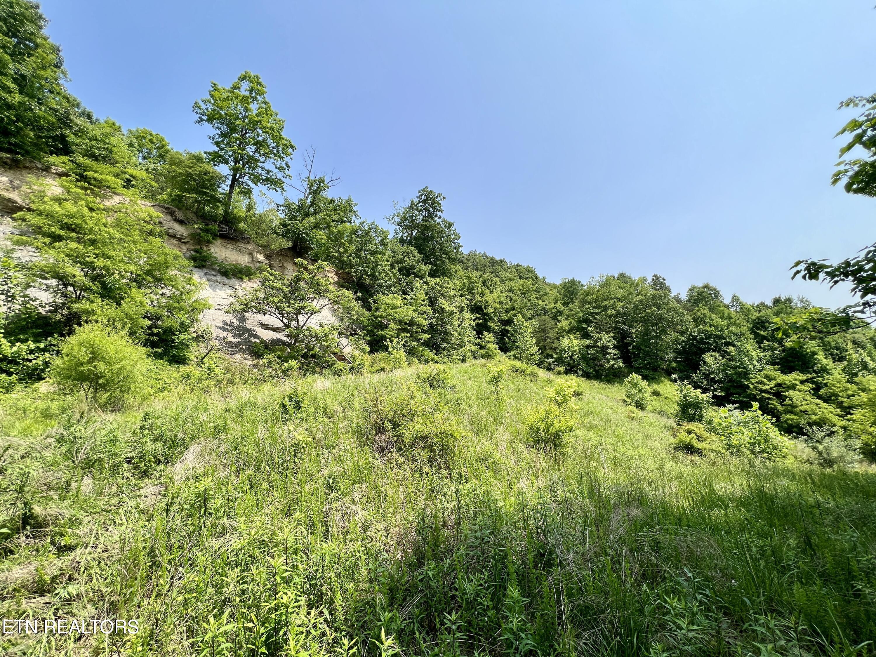 Wool Lane Newcomb, TN 37819 - Photo 25 of 53 25