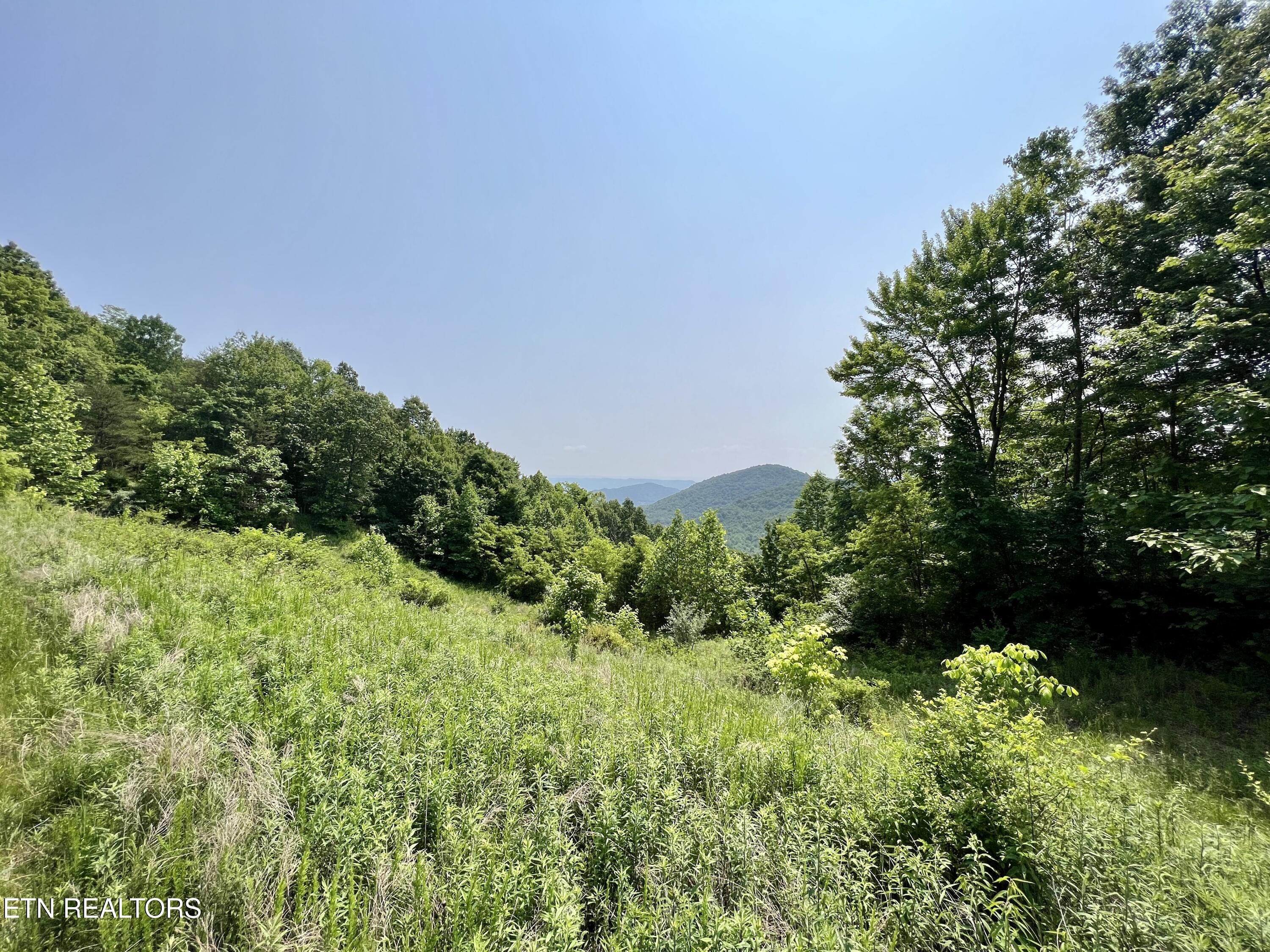 Wool Lane Newcomb, TN 37819 - Photo 26 of 53 26