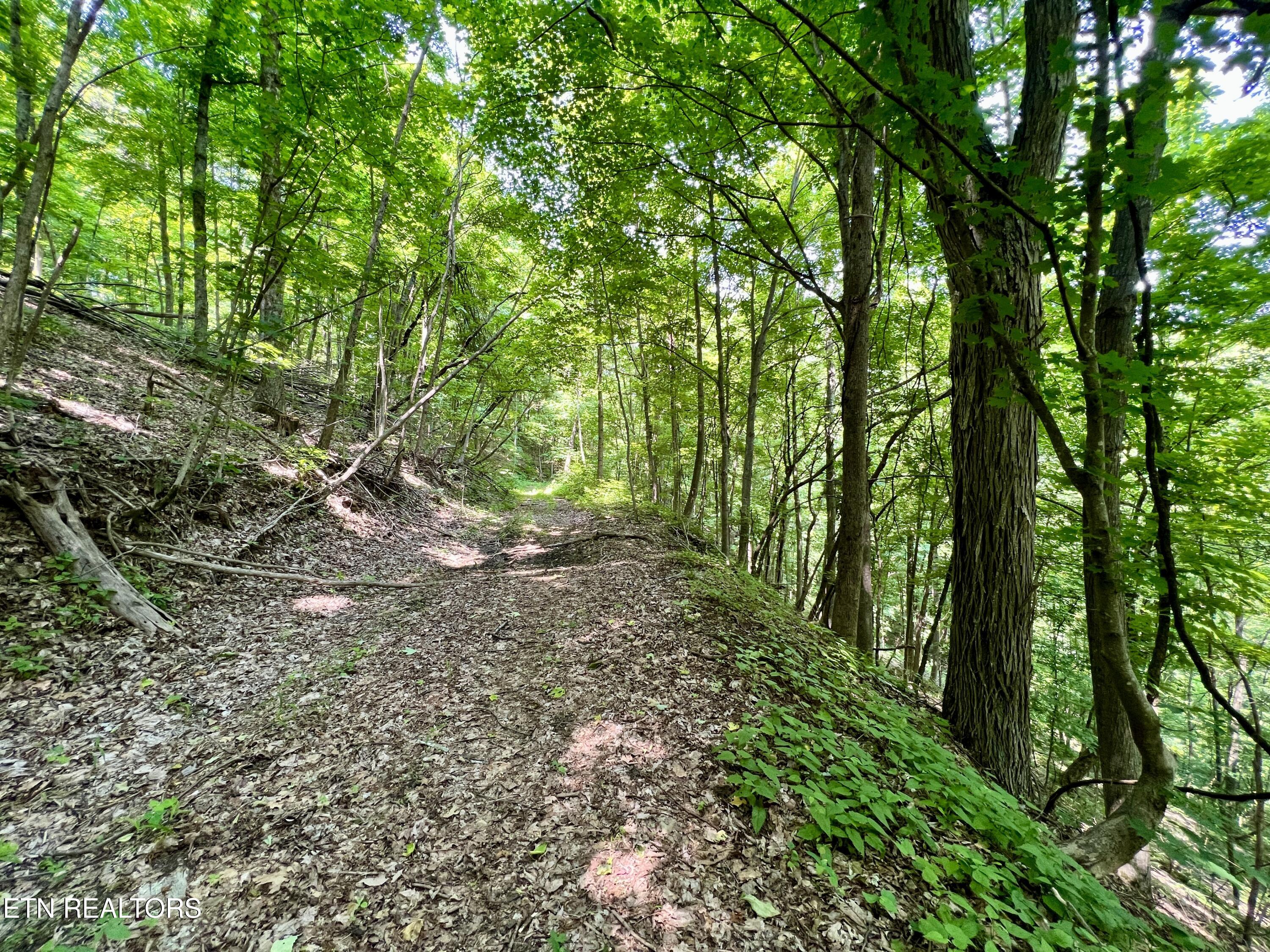 Wool Lane Newcomb, TN 37819 - Photo 27 of 53 27