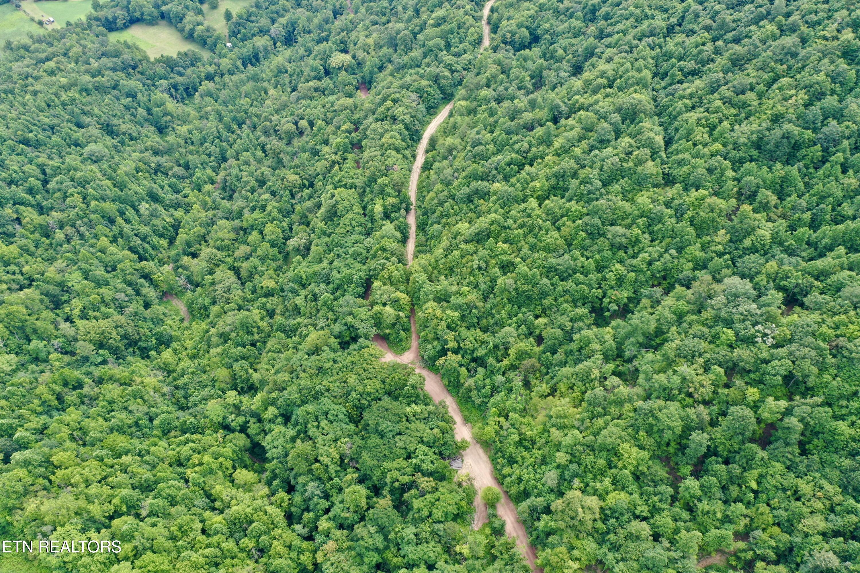 Wool Lane Newcomb, TN 37819 - Photo 30 of 53 30