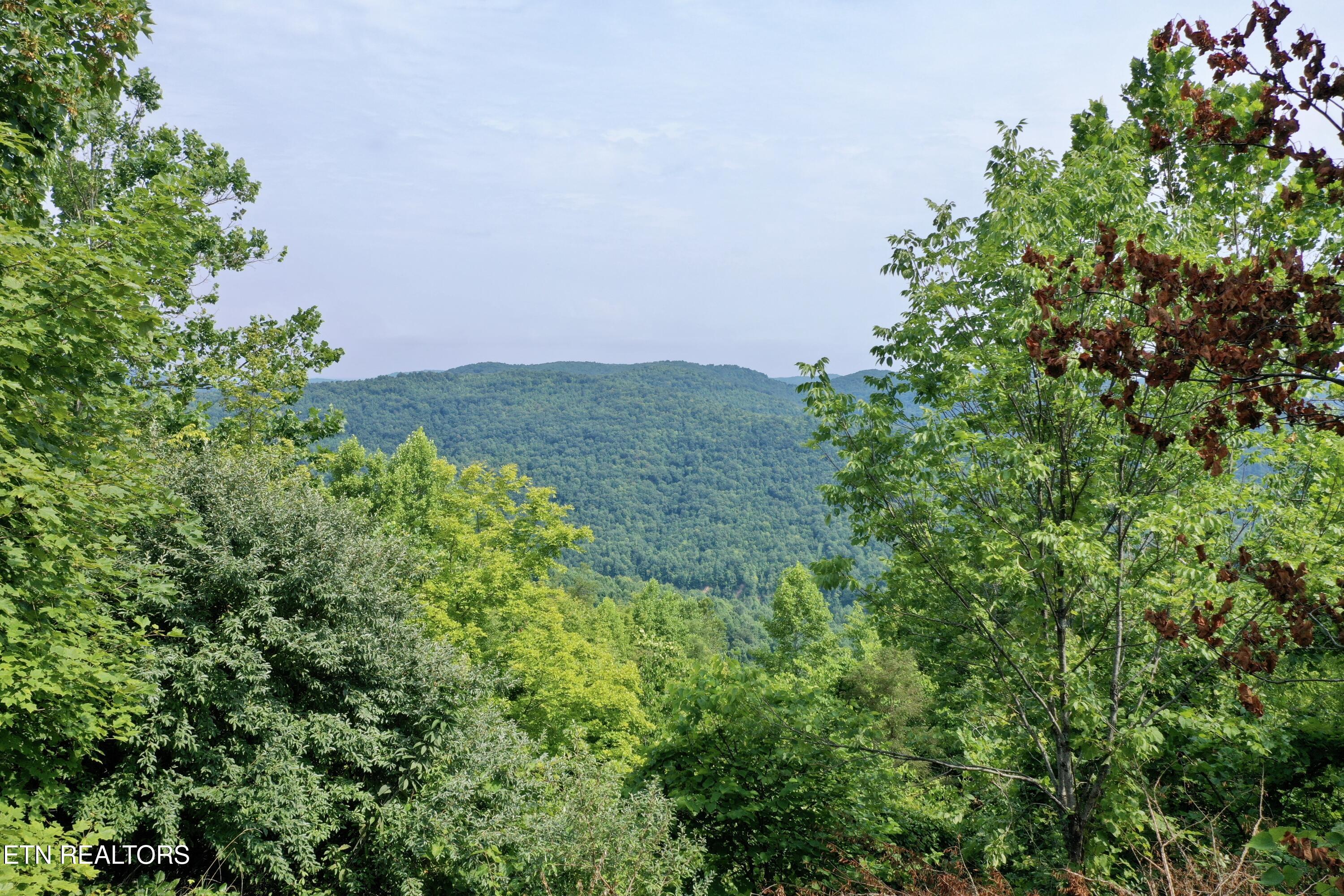 Wool Lane Newcomb, TN 37819 - Photo 3 of 53 2