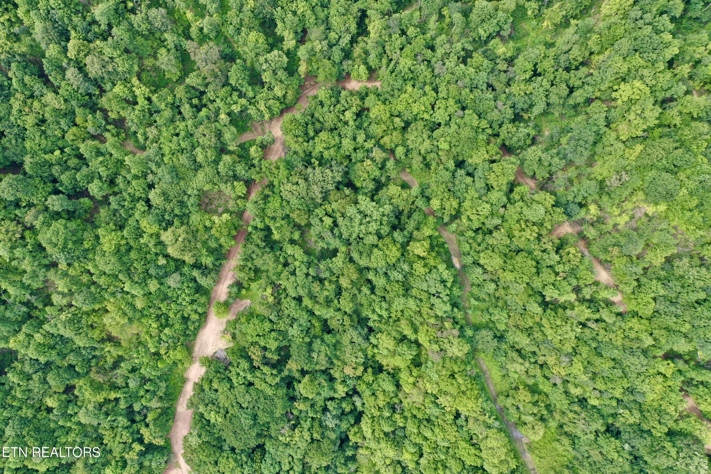 Wool Lane Newcomb, TN 37819 - Photo 31 of 53 31