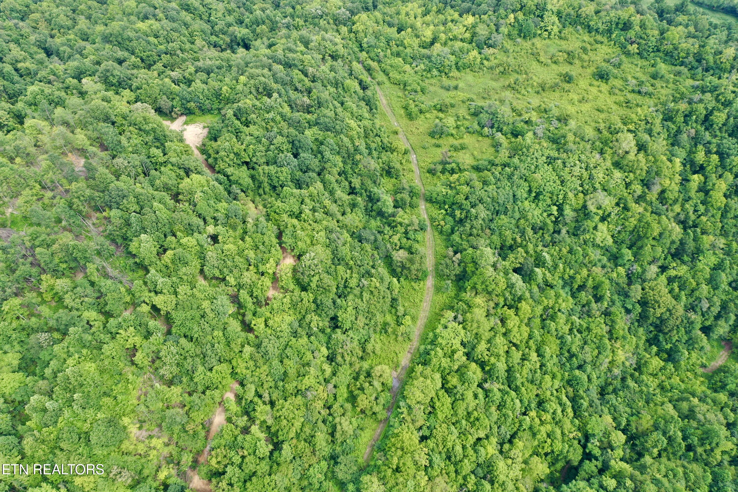 Wool Lane Newcomb, TN 37819 - Photo 32 of 53 32