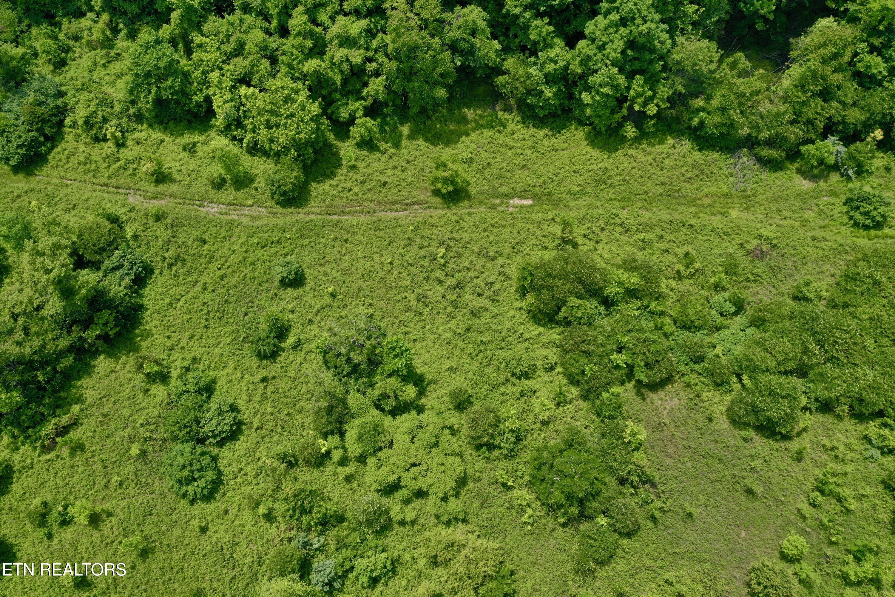 Wool Lane Newcomb, TN 37819 - Photo 33 of 53 33