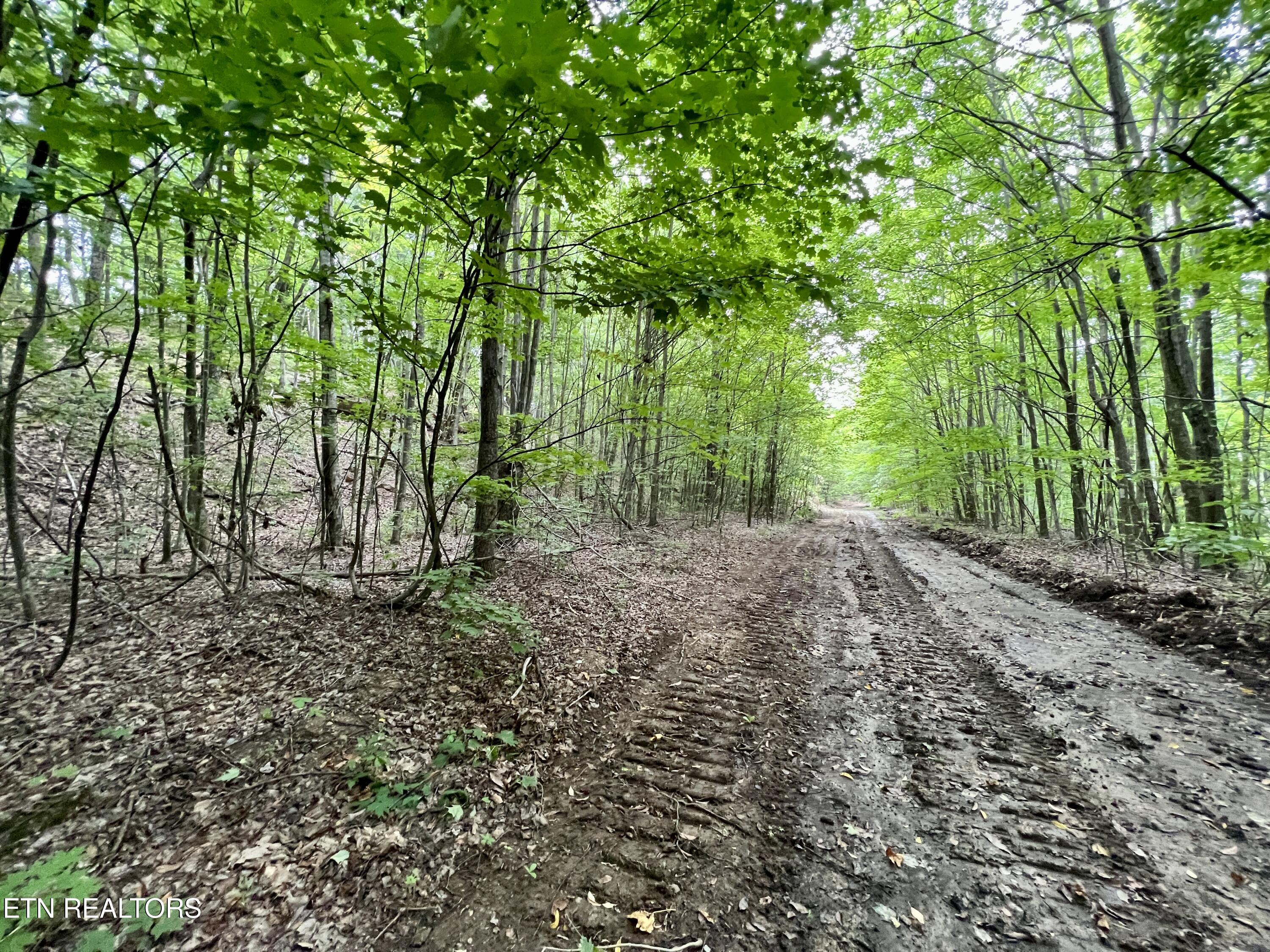 Wool Lane Newcomb, TN 37819 - Photo 34 of 53 34