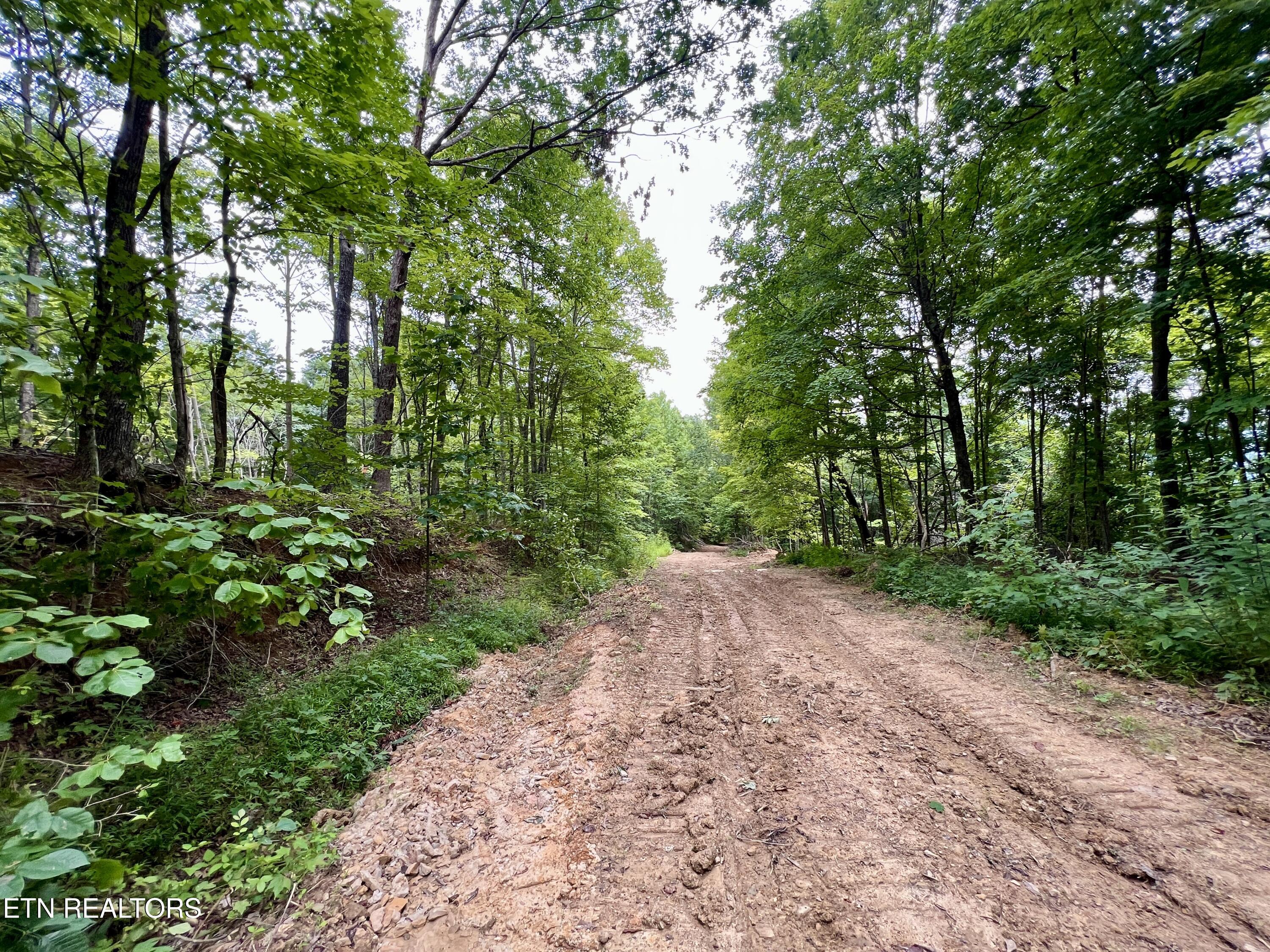 Wool Lane Newcomb, TN 37819 - Photo 35 of 53 35