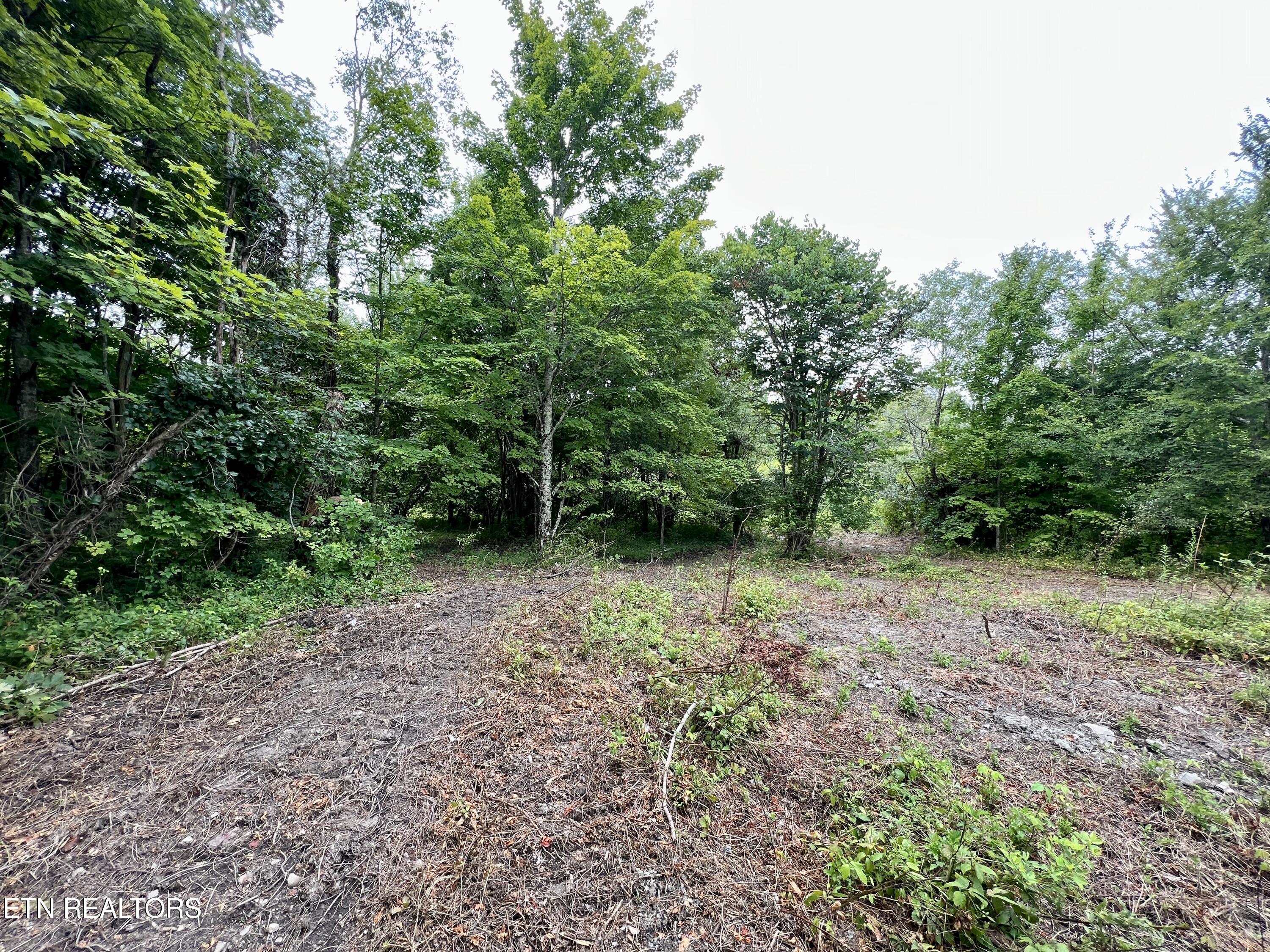 Wool Lane Newcomb, TN 37819 - Photo 36 of 53 36