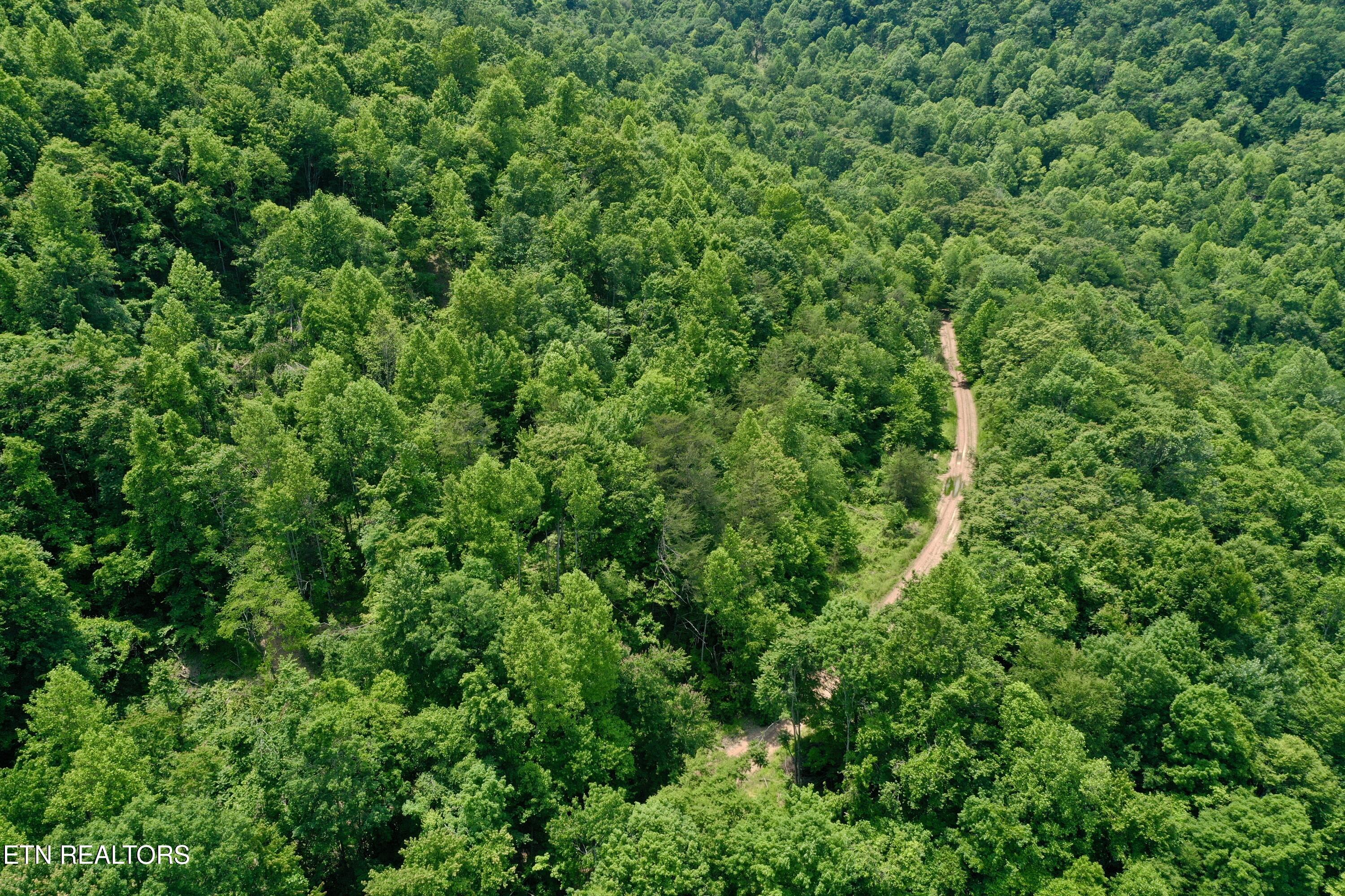 Wool Lane Newcomb, TN 37819 - Photo 39 of 53 39