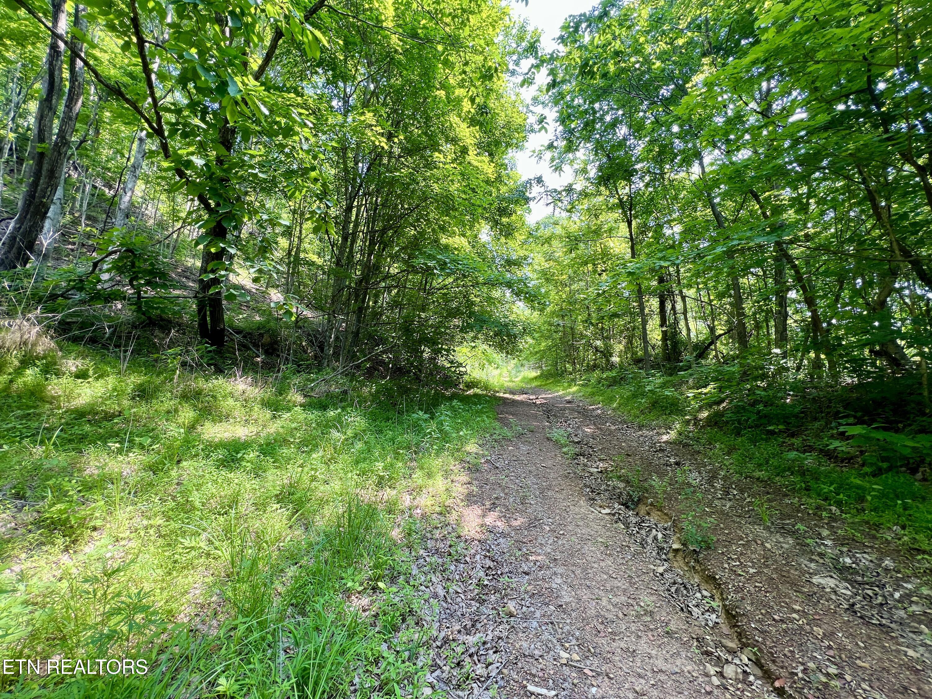 Wool Lane Newcomb, TN 37819 - Photo 40 of 53 40