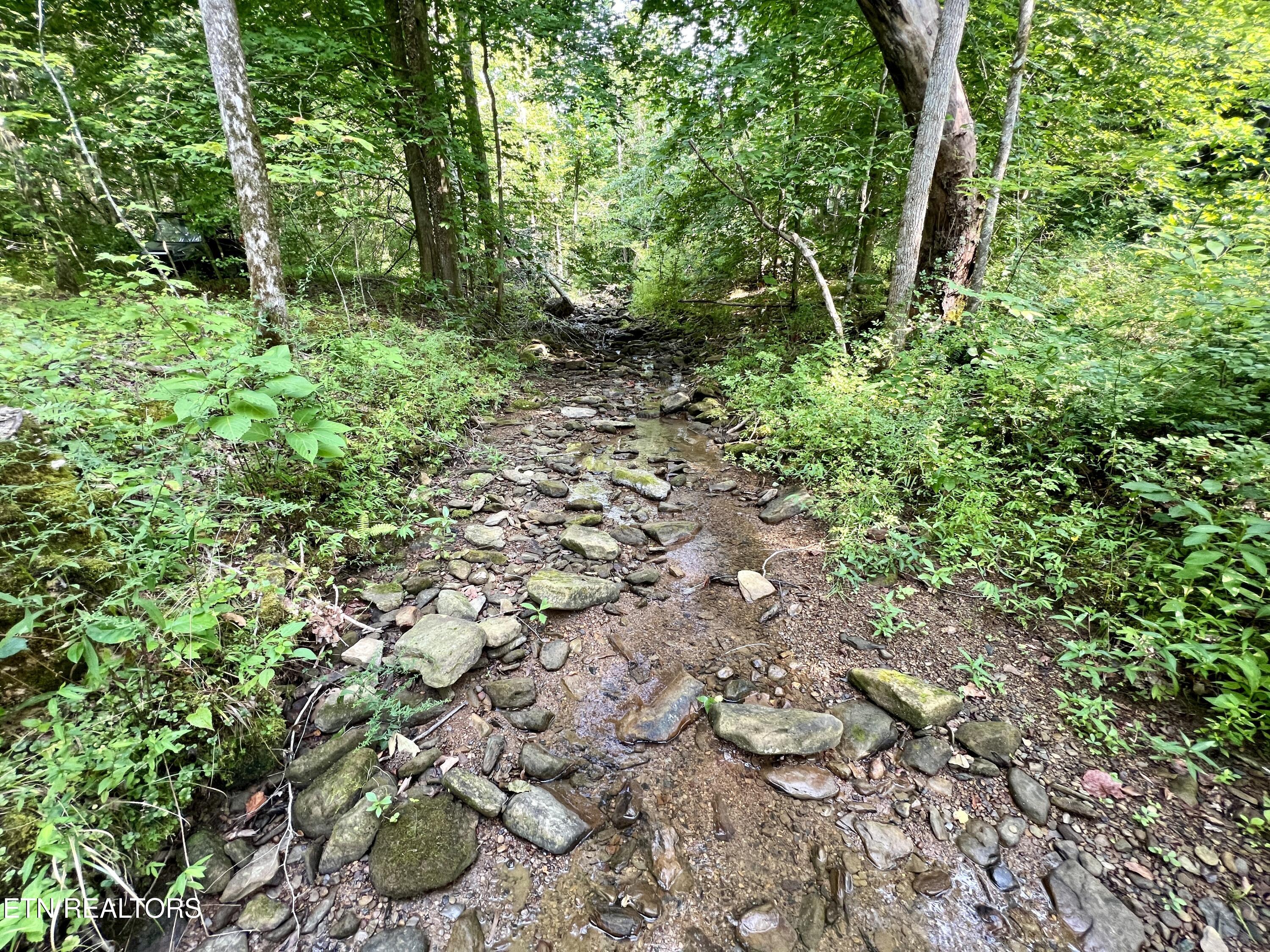 Wool Lane Newcomb, TN 37819 - Photo 4 of 53 3