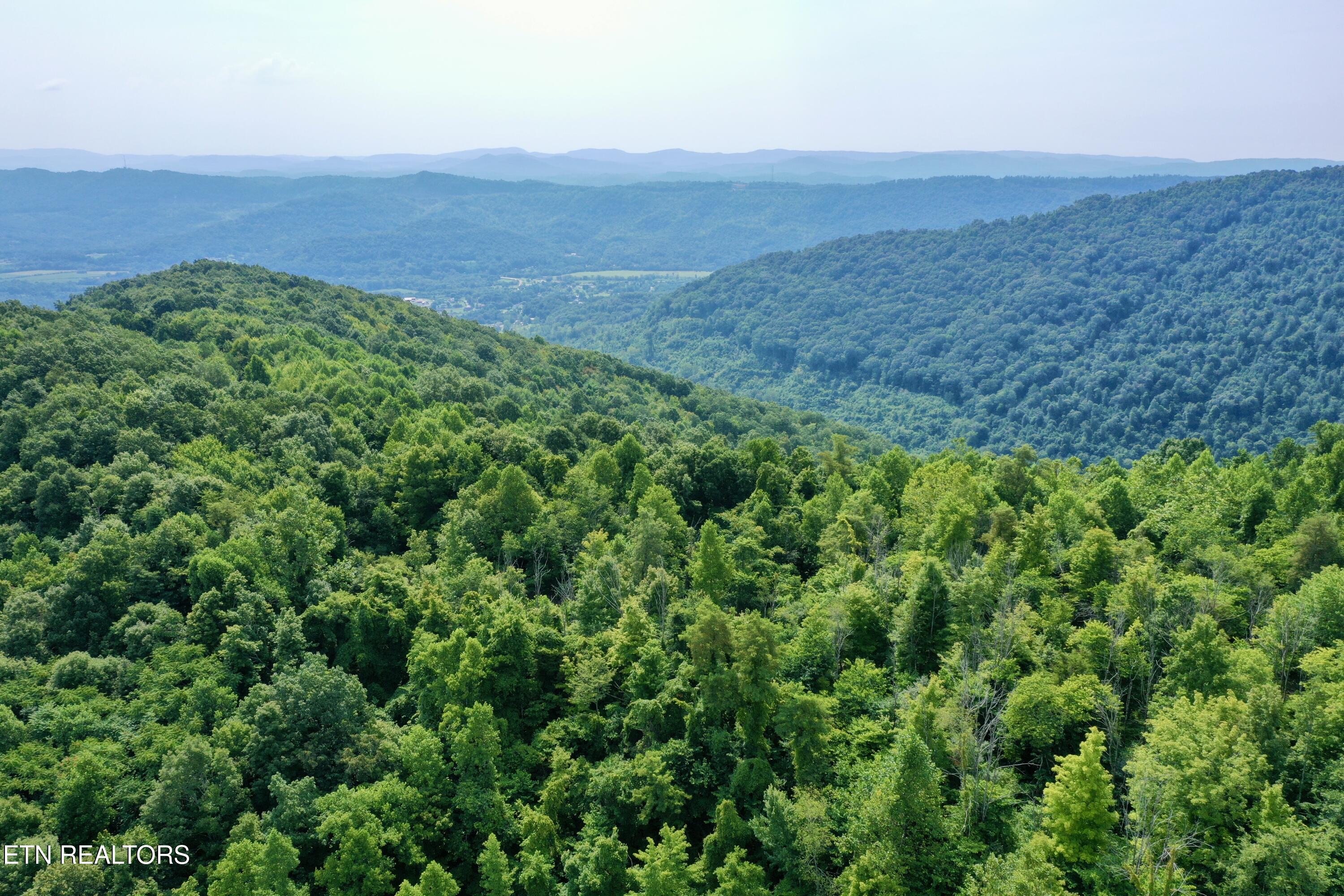 Wool Lane Newcomb, TN 37819 - Photo 42 of 53 DJI_0146
