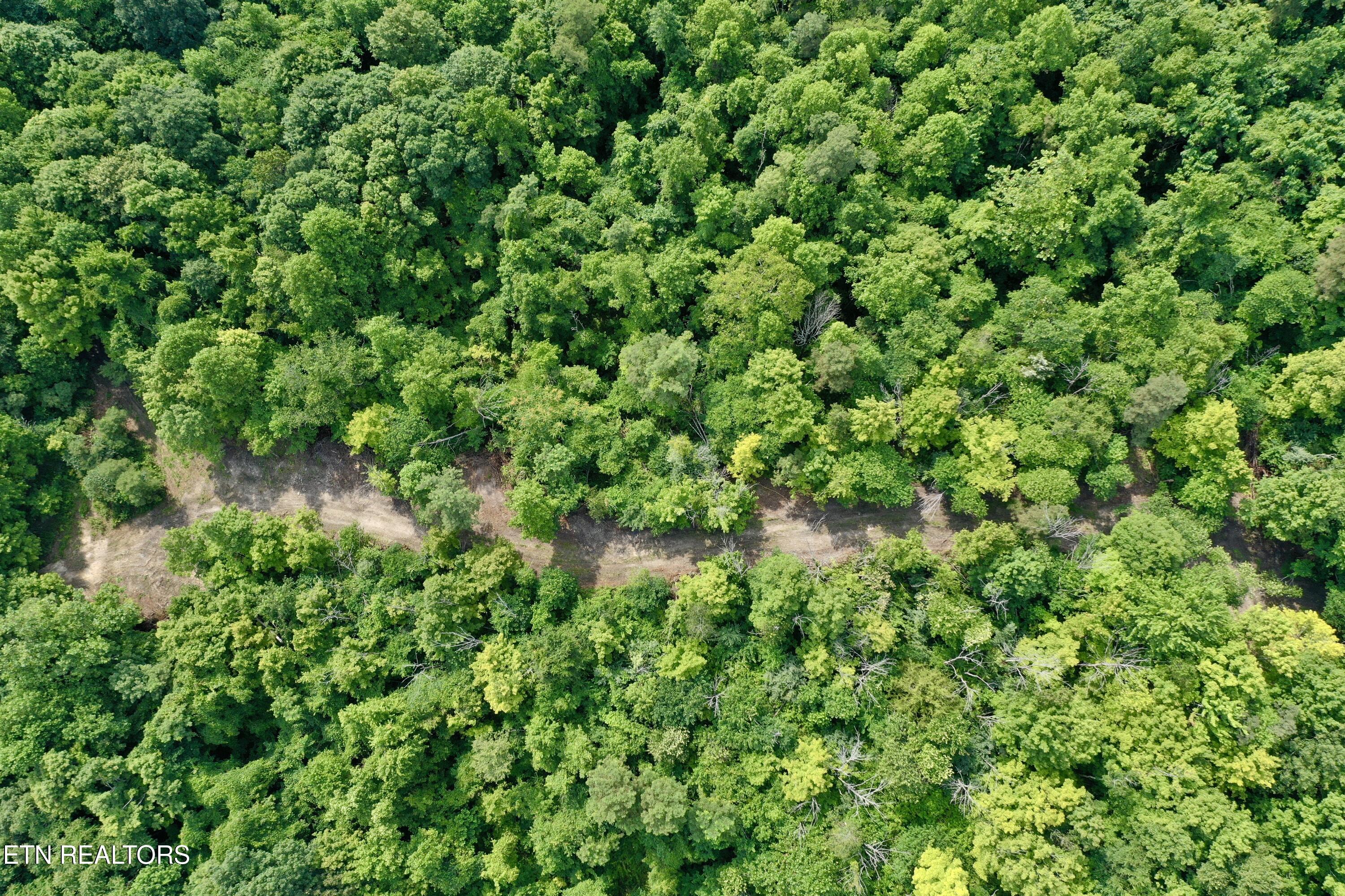 Wool Lane Newcomb, TN 37819 - Photo 43 of 53 DJI_0157