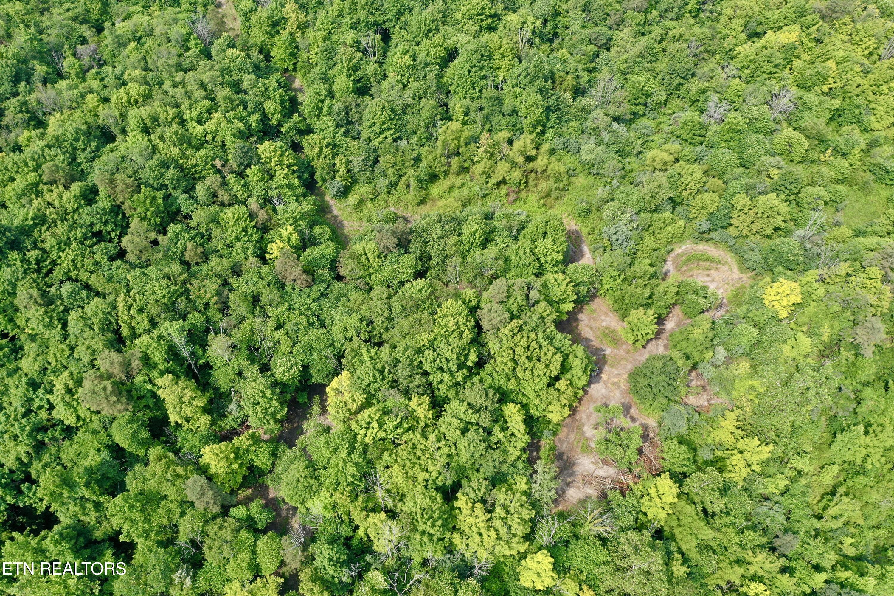 Wool Lane Newcomb, TN 37819 - Photo 44 of 53 DJI_0158