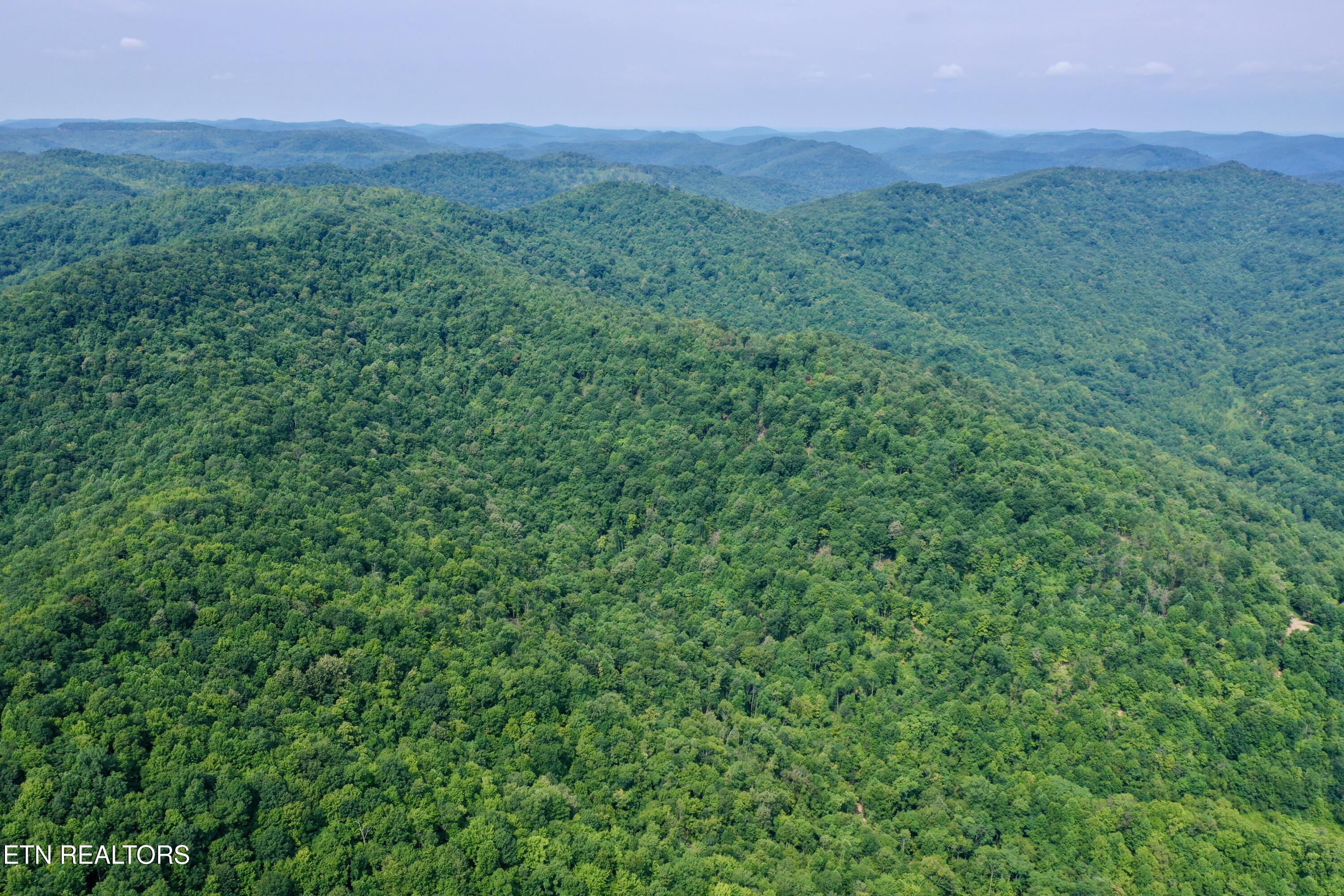 Wool Lane Newcomb, TN 37819 - Photo 45 of 53 DJI_0162