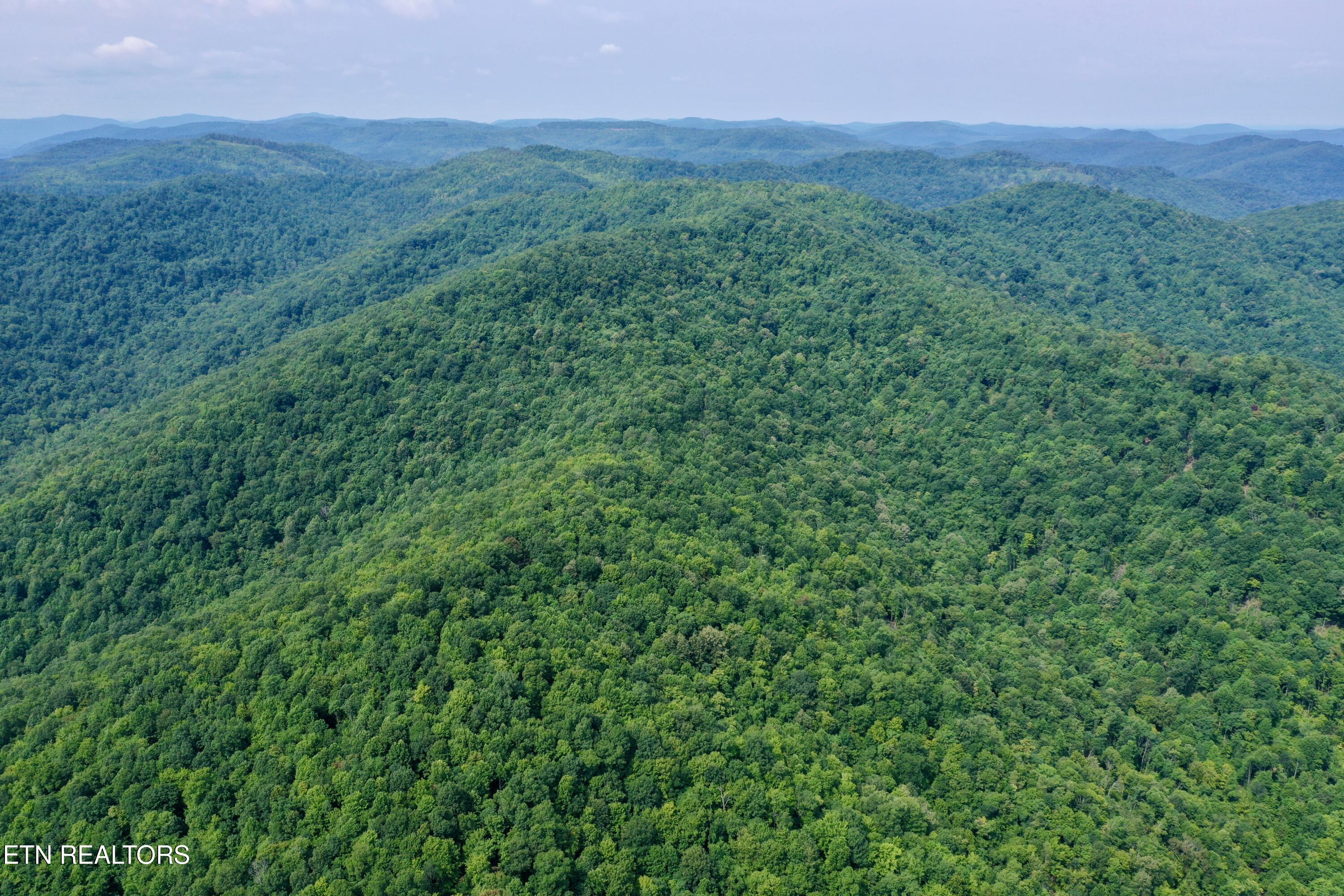Wool Lane Newcomb, TN 37819 - Photo 47 of 53 DJI_0164