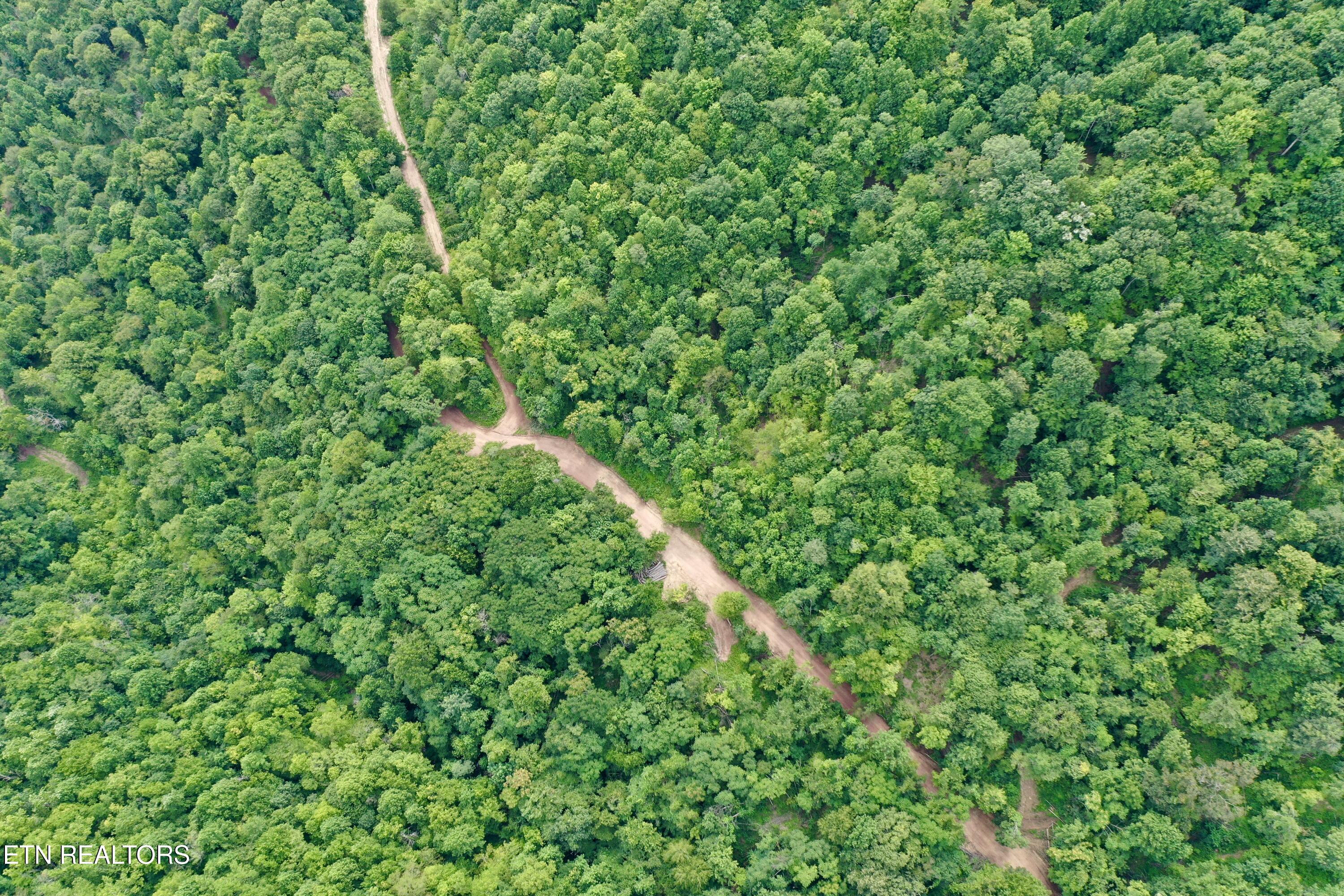 Wool Lane Newcomb, TN 37819 - Photo 49 of 53 DJI_0175