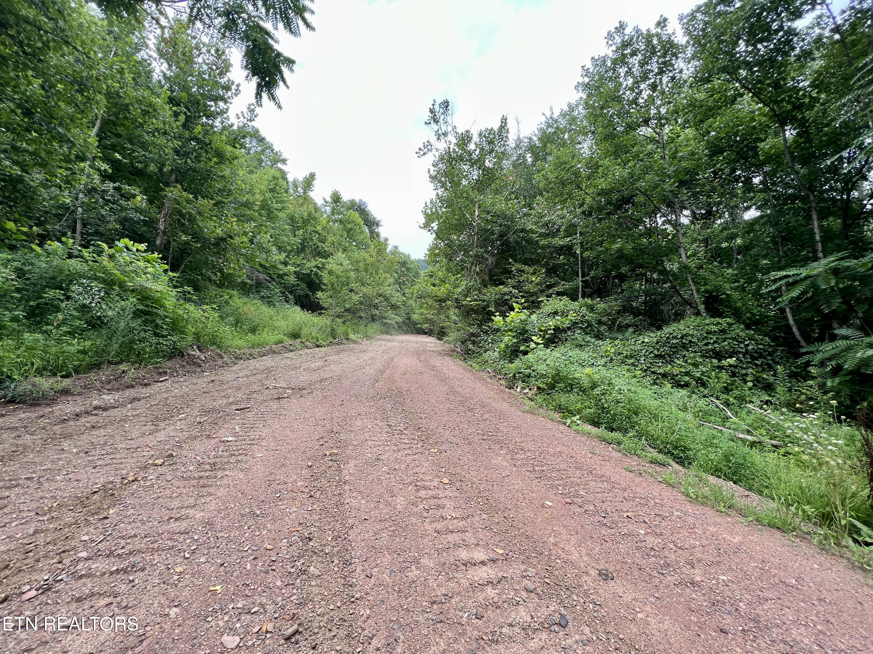 Wool Lane Newcomb, TN 37819 - Photo 5 of 53 4