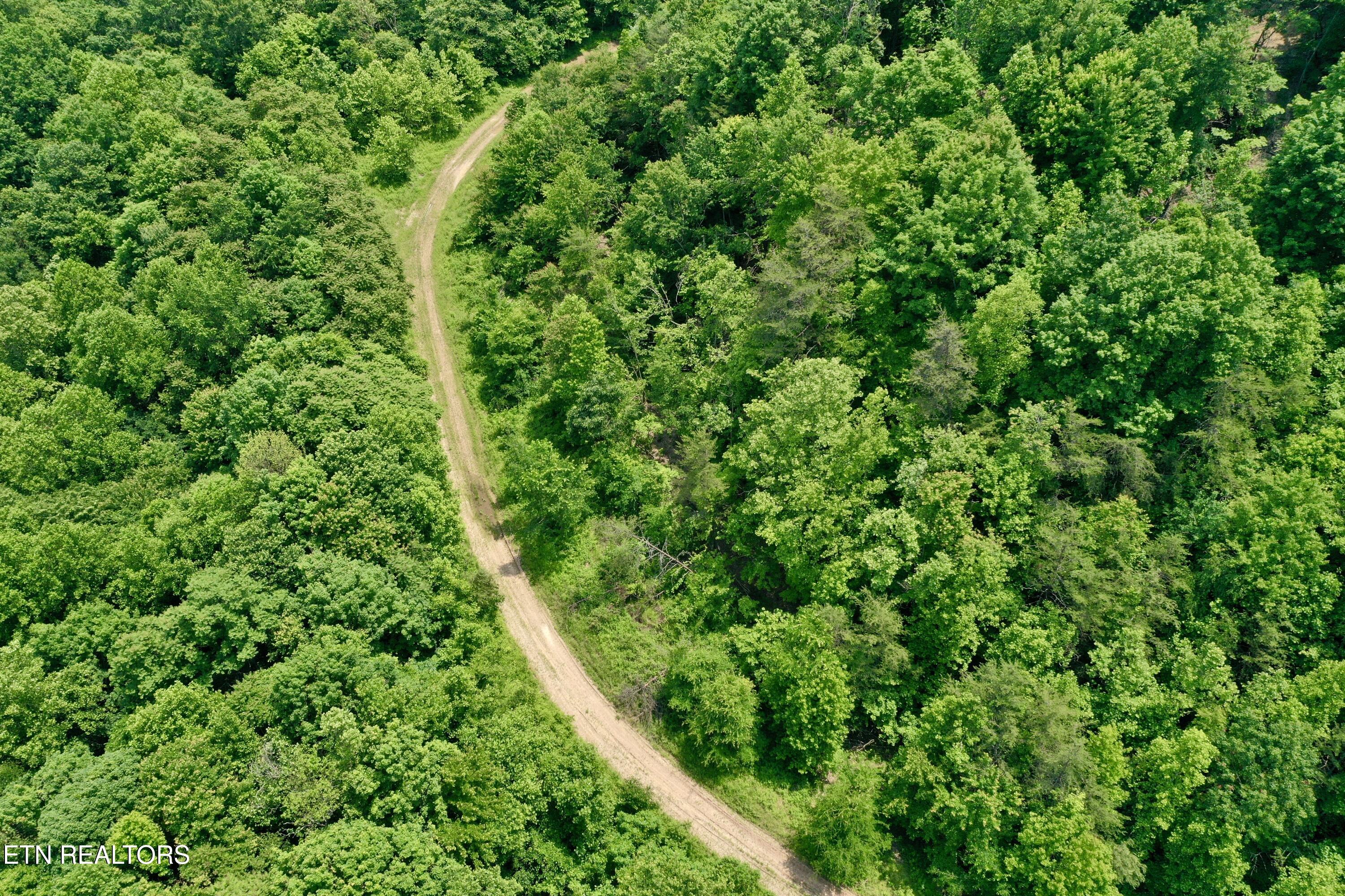 Wool Lane Newcomb, TN 37819 - Photo 7 of 53 6