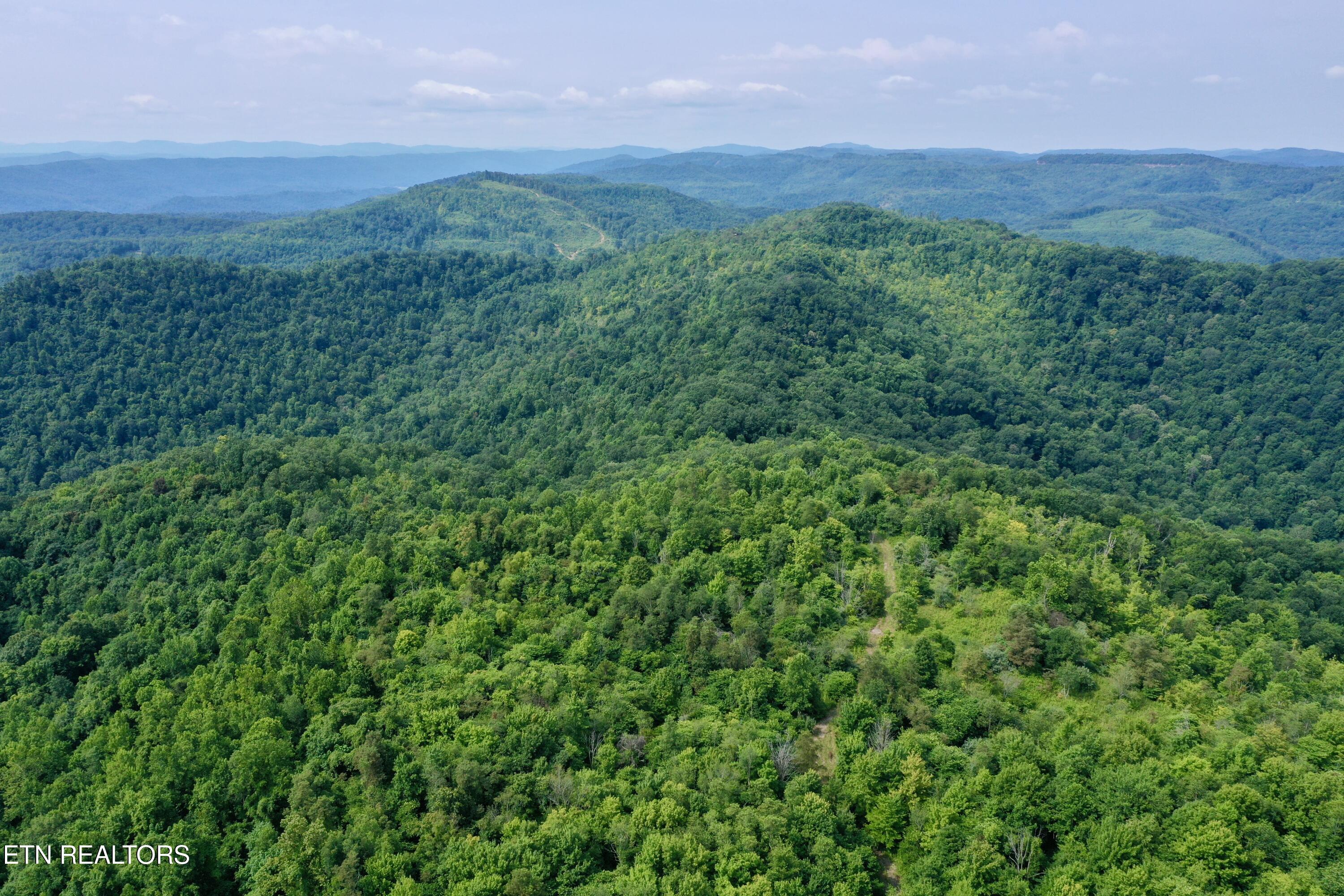 Wool Lane Newcomb, TN 37819 - Photo 8 of 53 8