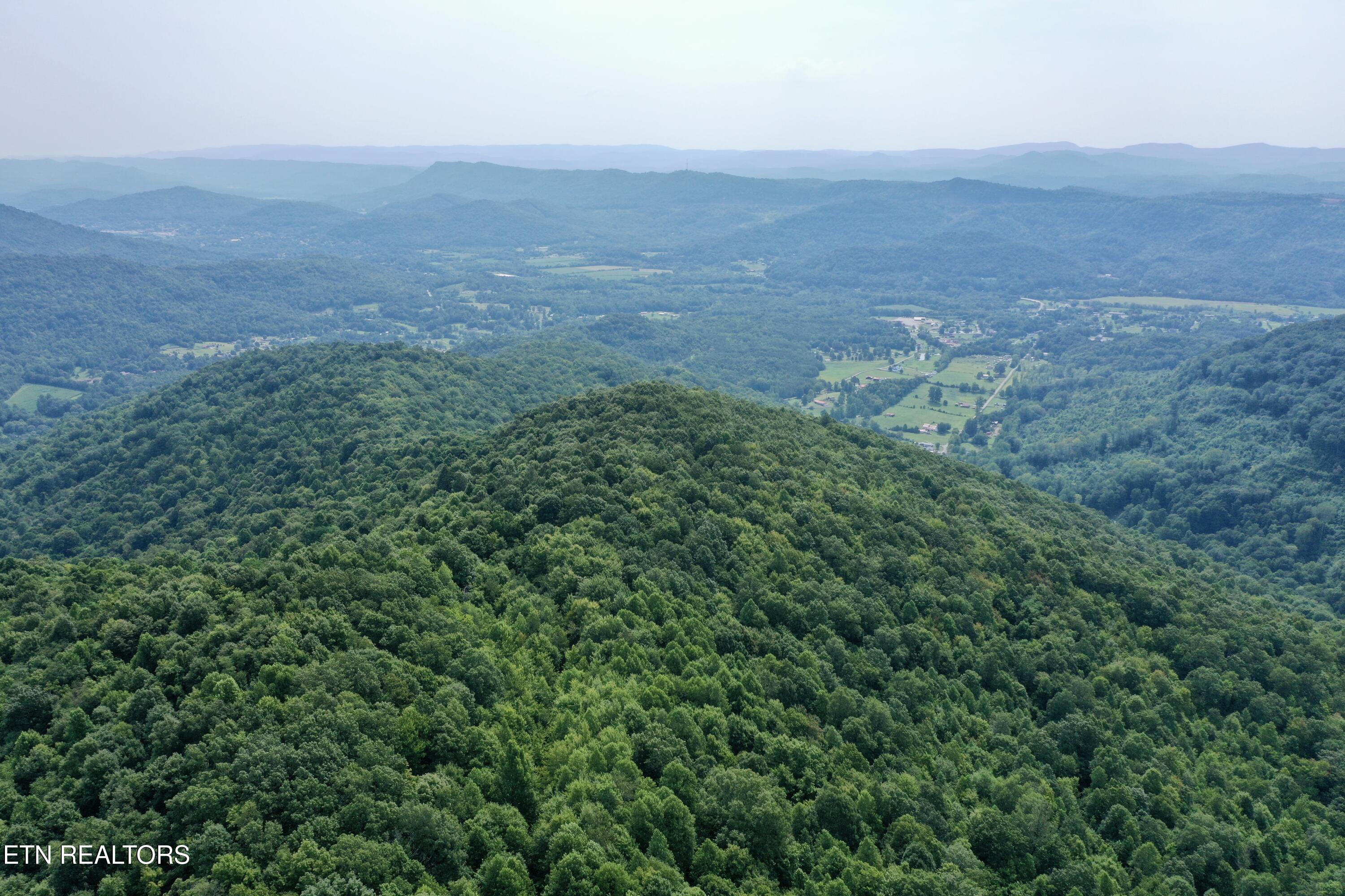 Wool Lane Newcomb, TN 37819 - Photo 10 of 53 10
